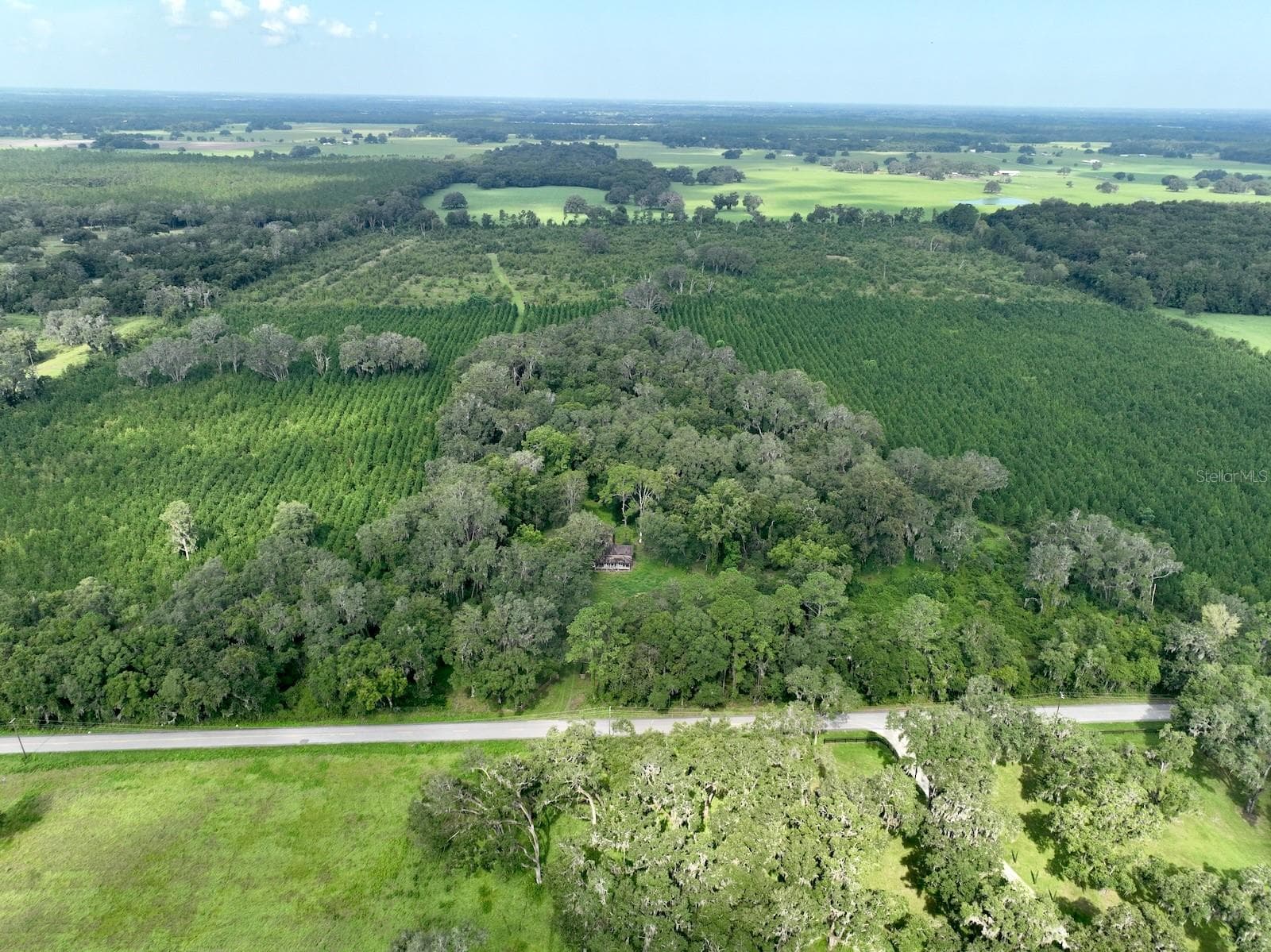 All Parcels Facing West - Parcel D NW 160TH AVE, MORRISTON