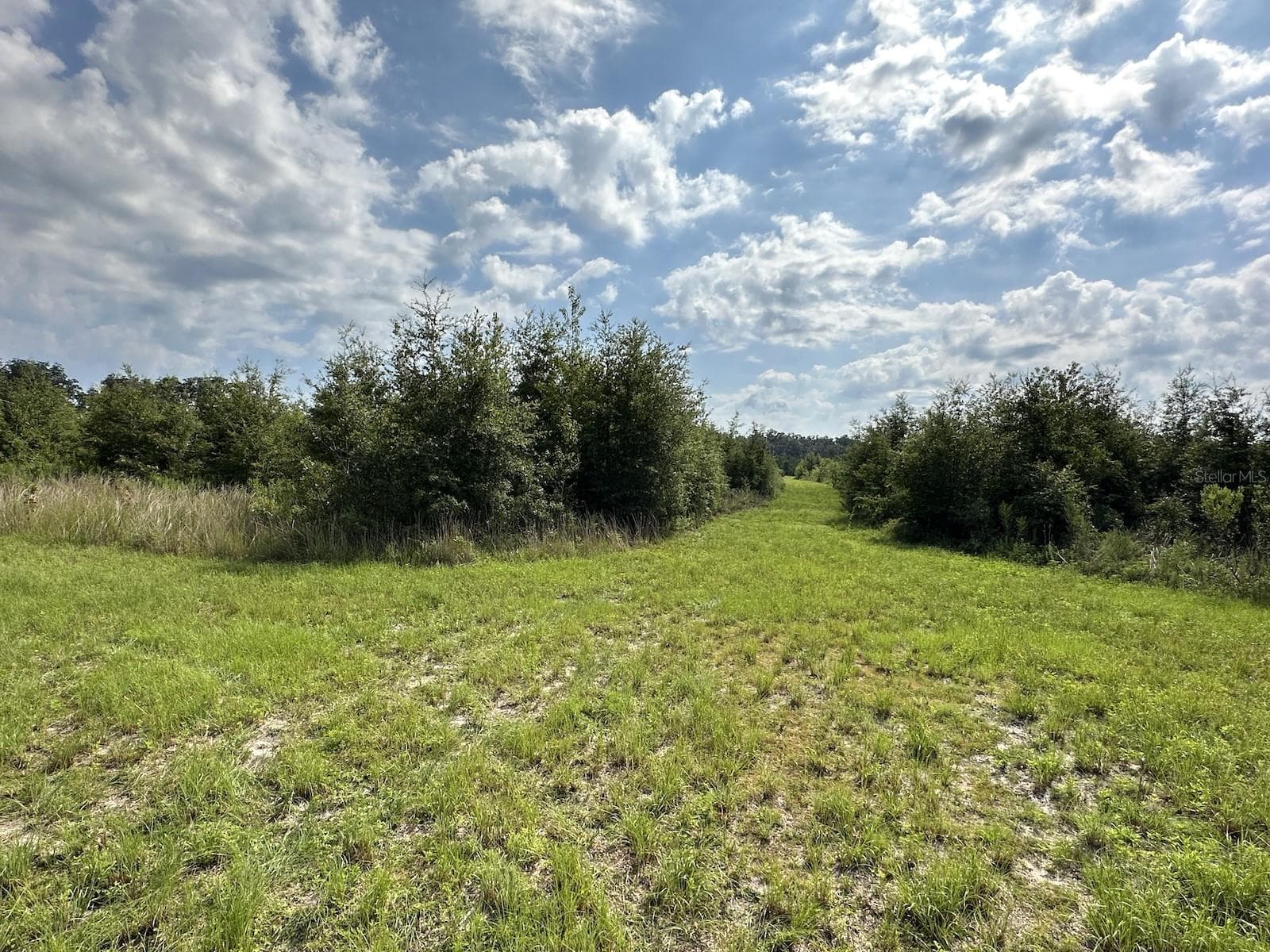 Middle Track - Land, MORRISTON