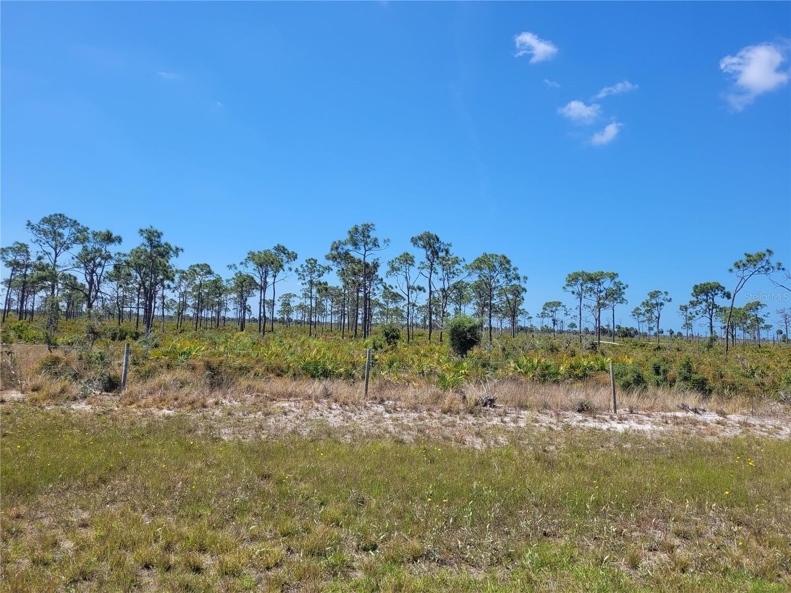 Charlotte Harbor Preserve off of Rotonda Trace Blvd - 12076 SEA-ROBIN LN, PLACIDA