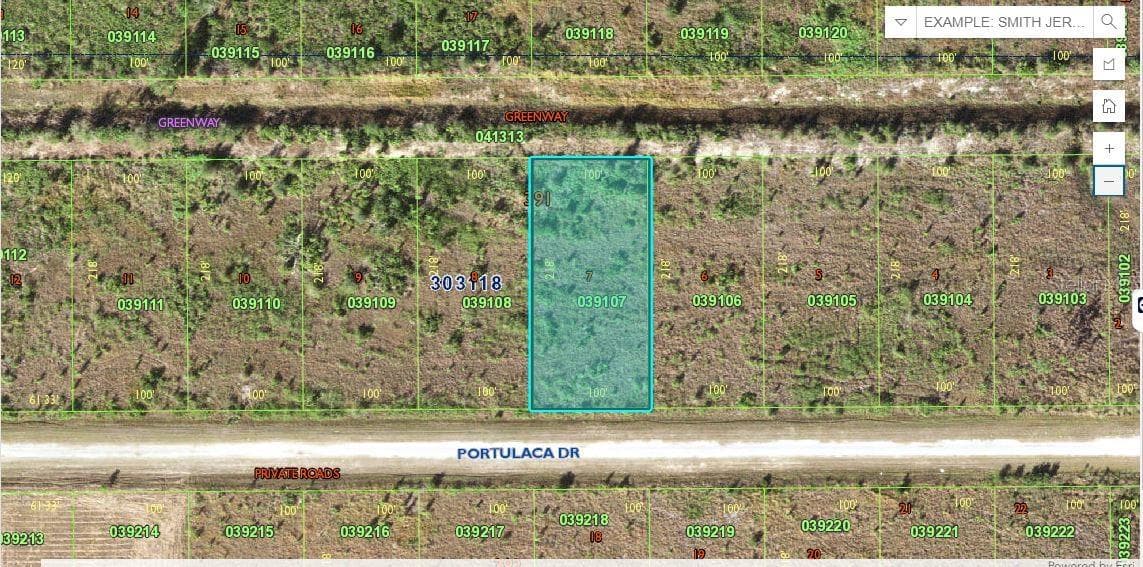 514 PORTULACA DR