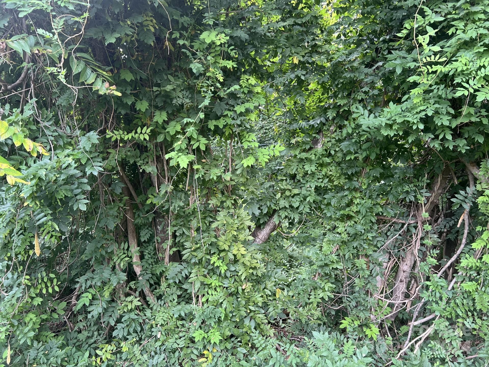 Lot at 00 Maplewood Lane, New London, photo 3 of 9