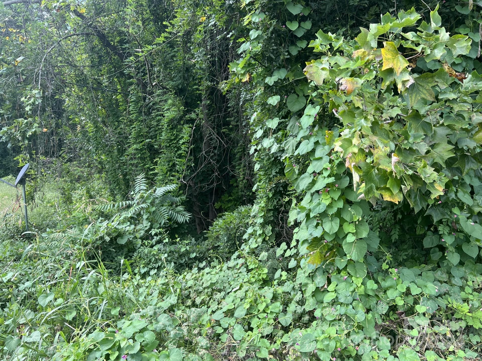 Lot at 00 Maplewood Lane, New London, photo 4 of 9