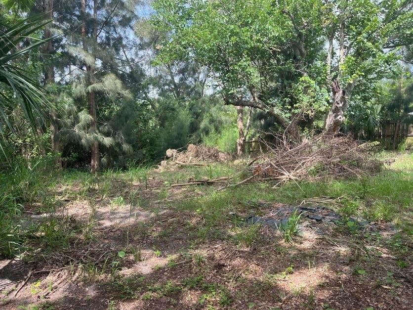 Single Family Residence at 1528 STEVENSONS DR, CLEARWATER, photo 14 of 14