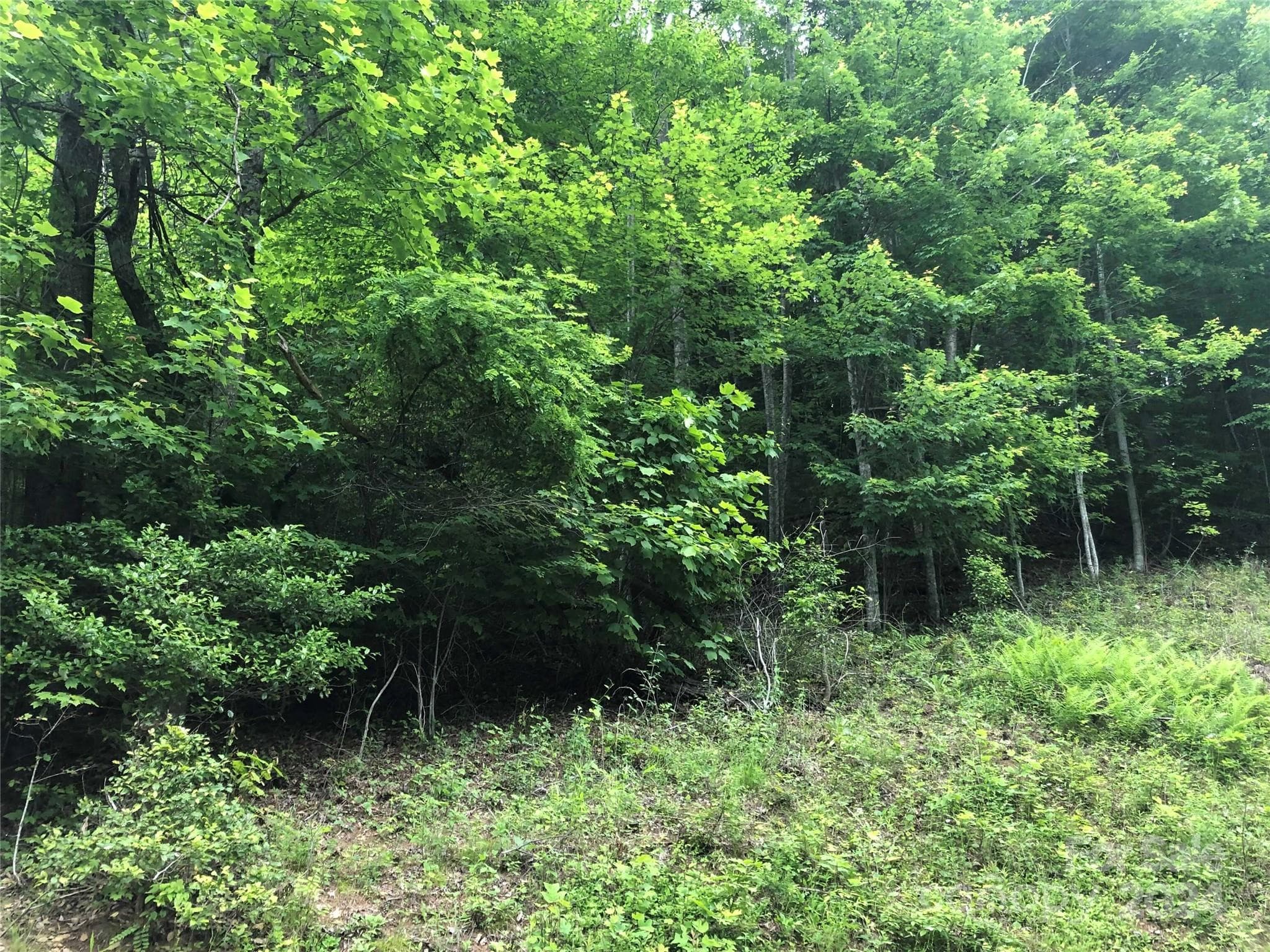 000 N Blue Ridge Parkway E