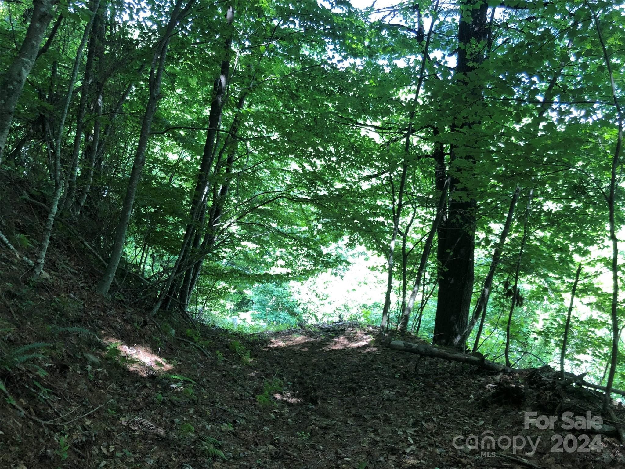 Acreage at 000 N Blue Ridge Parkway E, Jefferson, photo 2 of 5