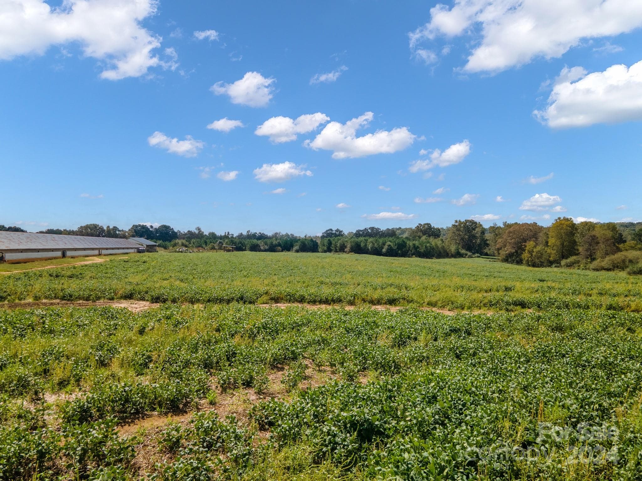Acreage at 0 Peeler Road, Vale, photo 12 of 22