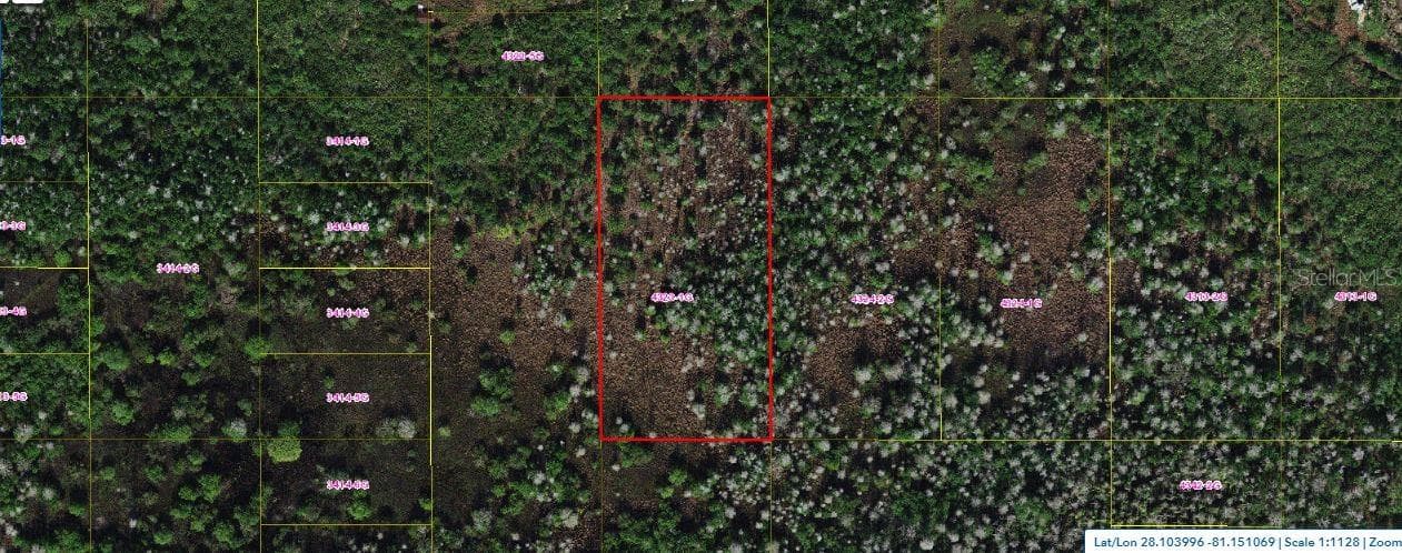 HOLOPAW GROVES RD