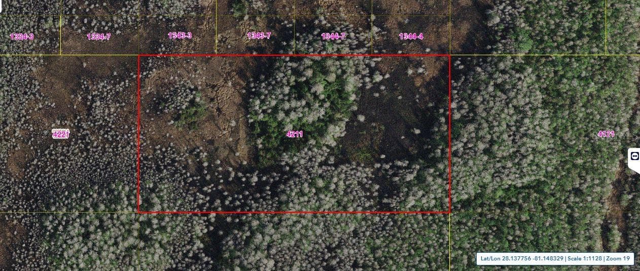 HOLOPAW GROVES RD