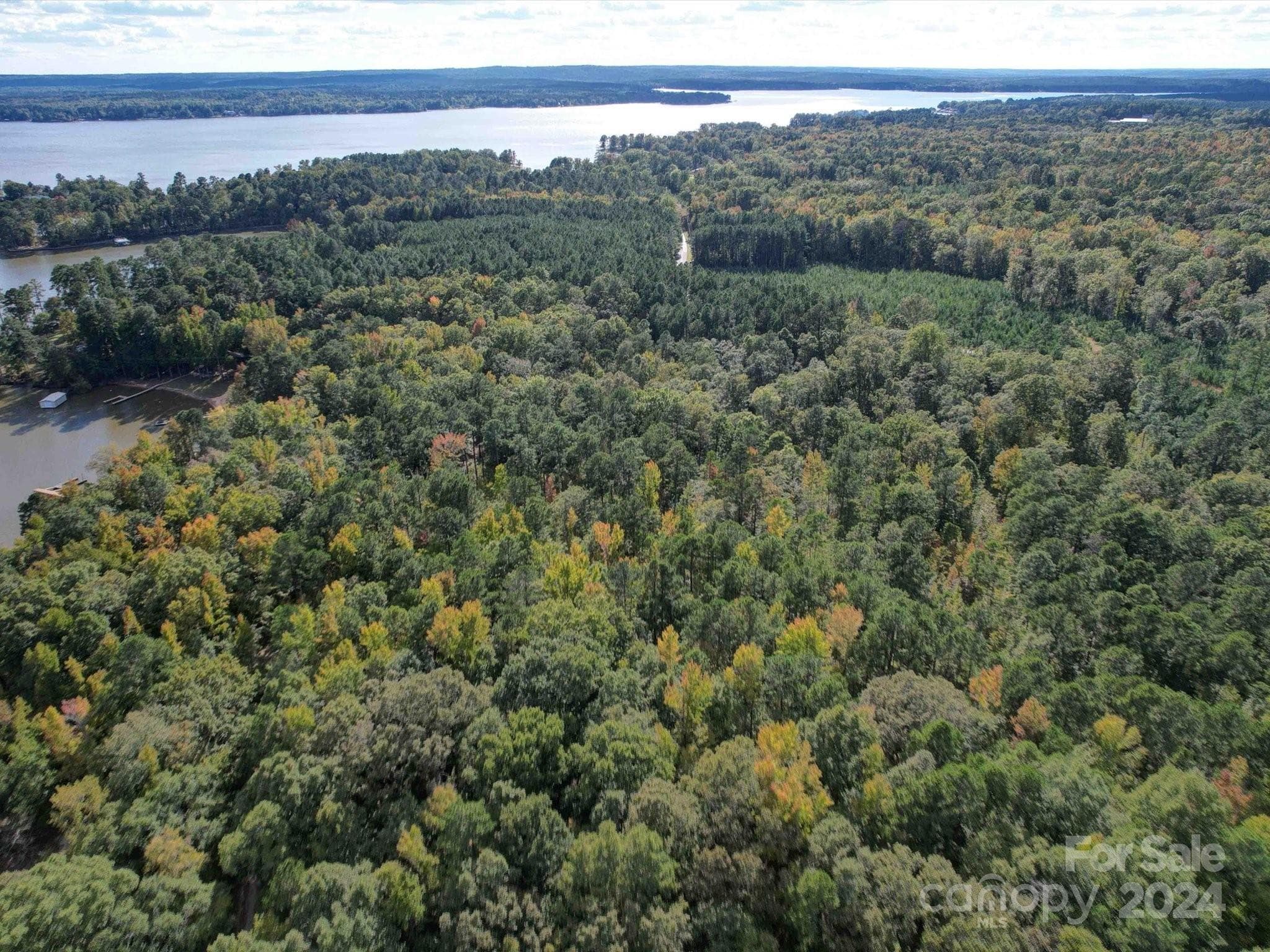 Acreage at 2502 Arrowhead Road, Liberty Hill, photo 14 of 34