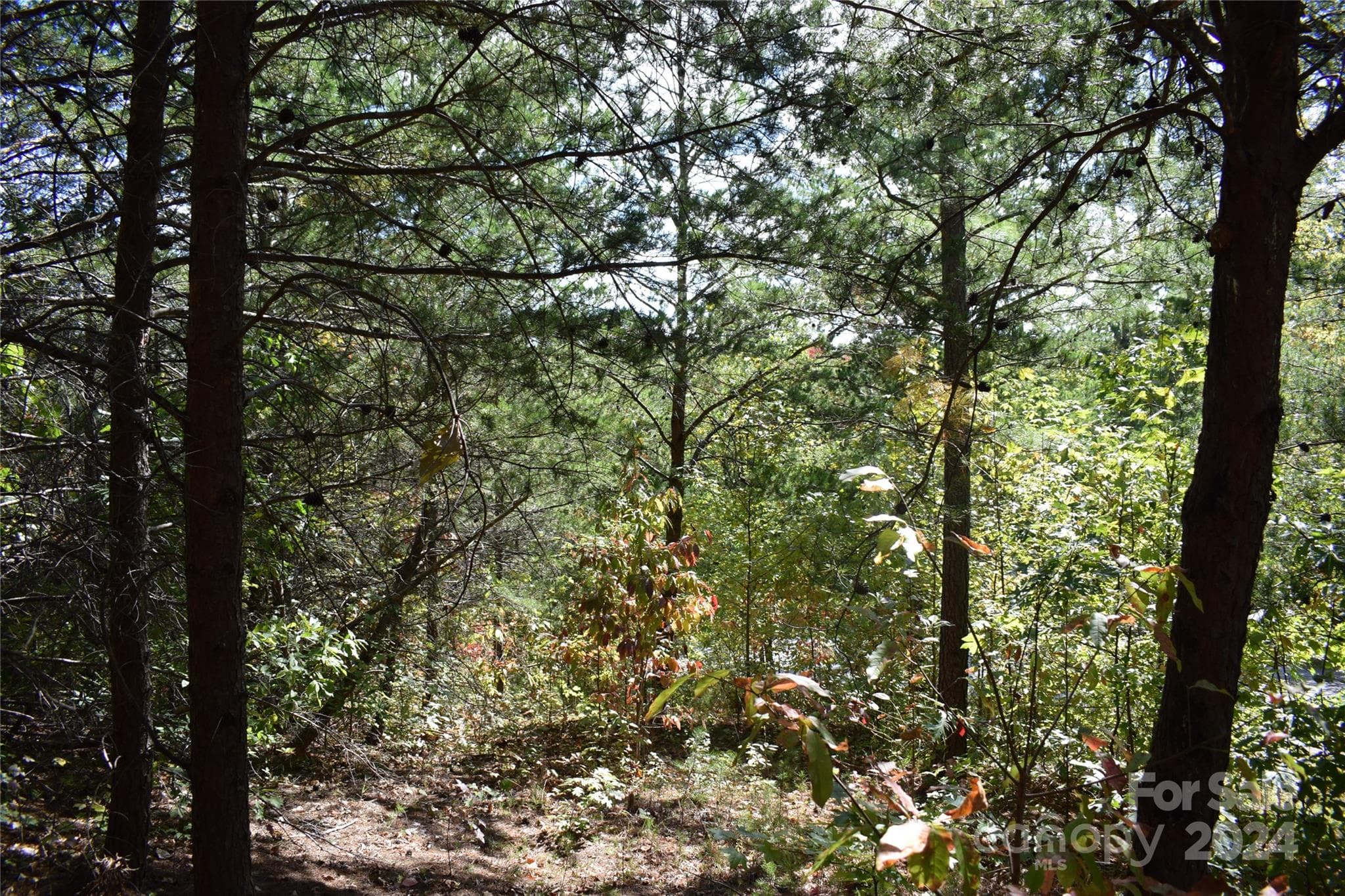 Lot at 0 Holland Drive, Columbus, photo 12 of 16