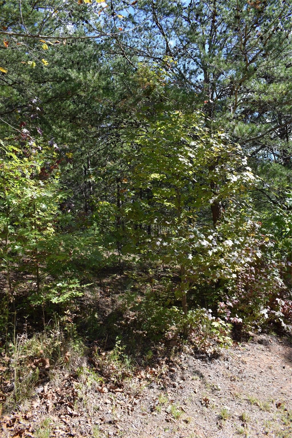 Lot at 0 Holland Drive, Columbus, photo 14 of 16