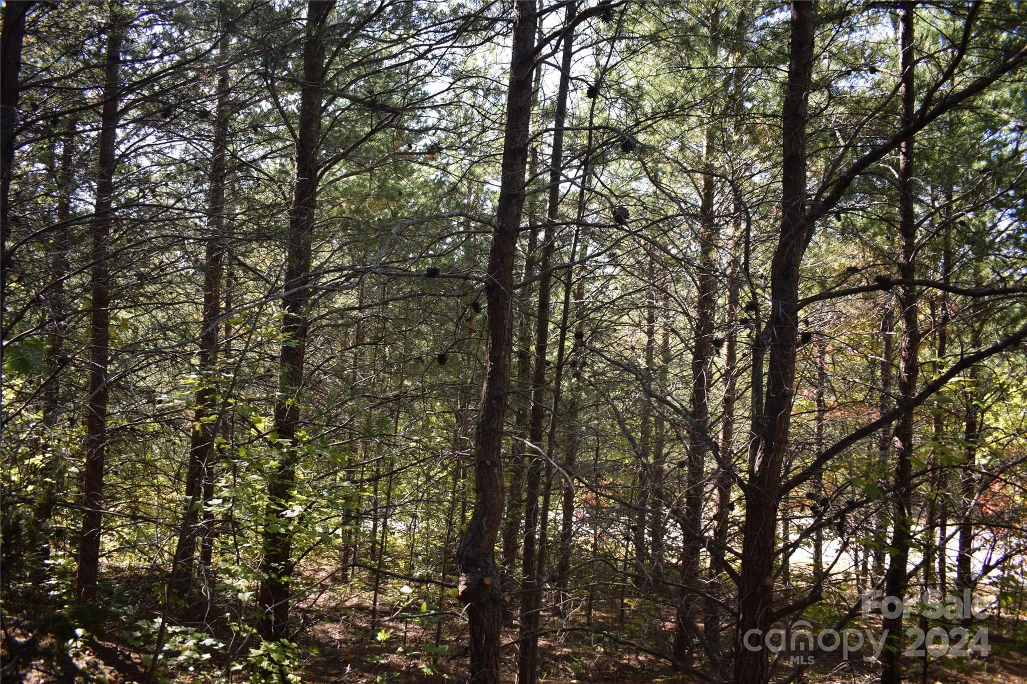 Lot at 0 Holland Drive, Columbus, photo 15 of 16