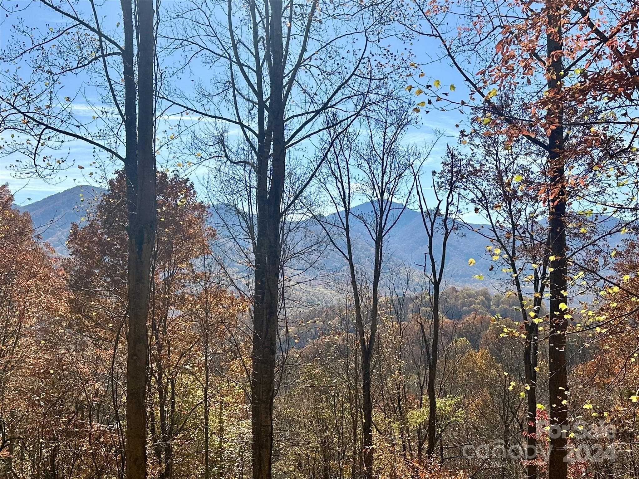 view to the SW - Maggie Valley