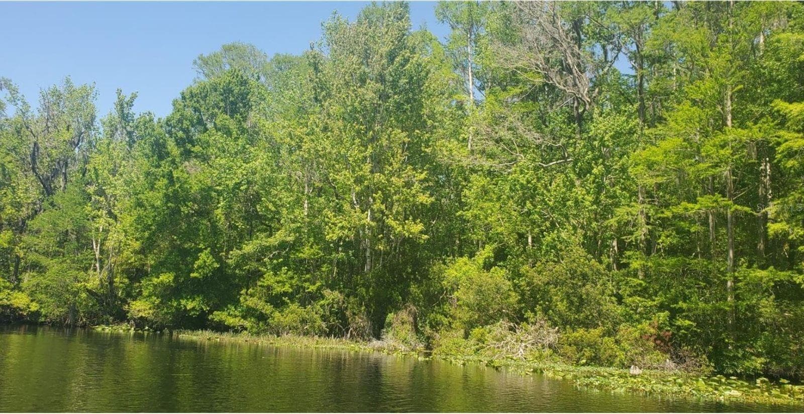 Land at 00 W HIGHWAY 40, DUNNELLON, photo 3 of 18