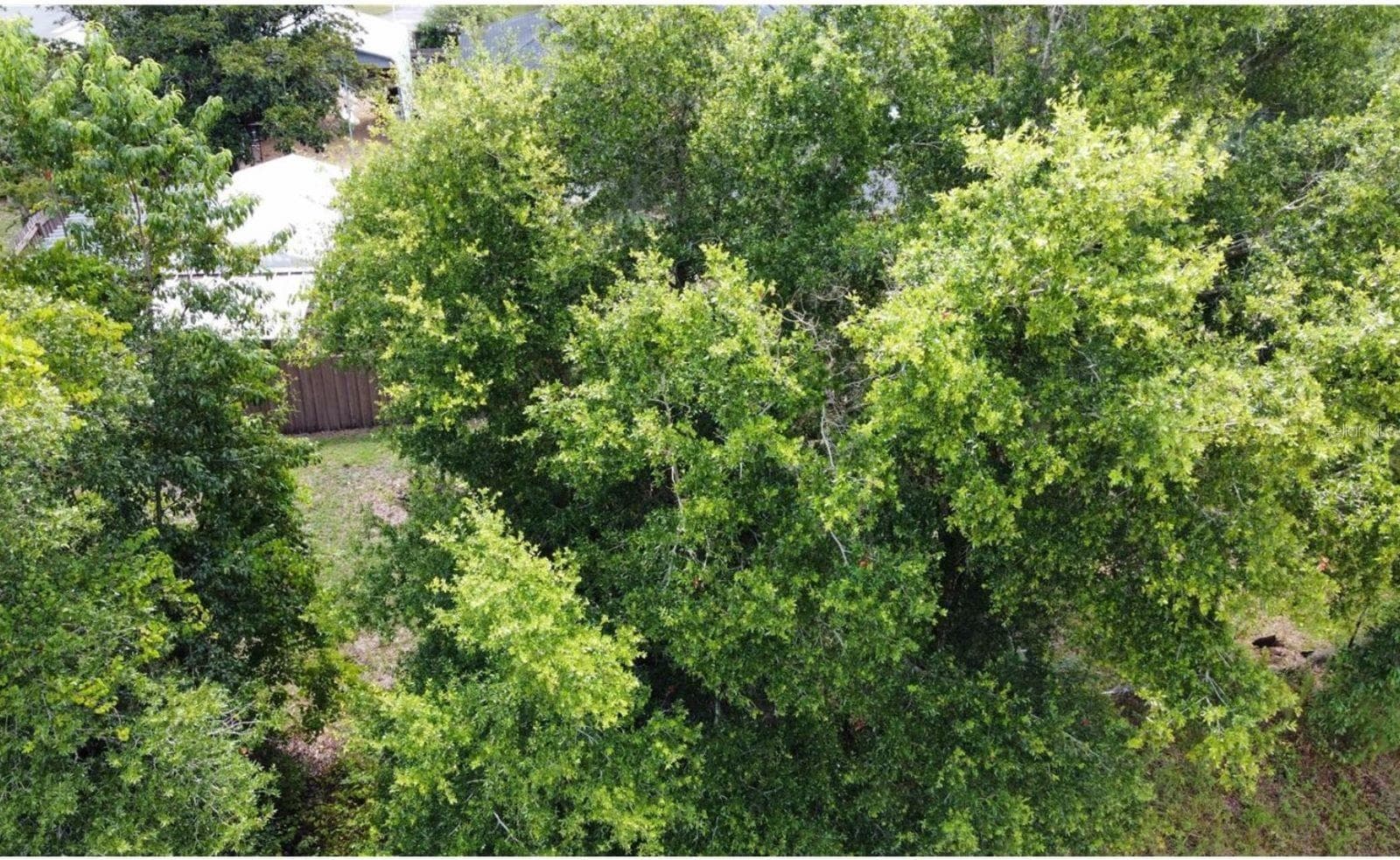 Land at 00 W HIGHWAY 40, DUNNELLON, photo 5 of 18