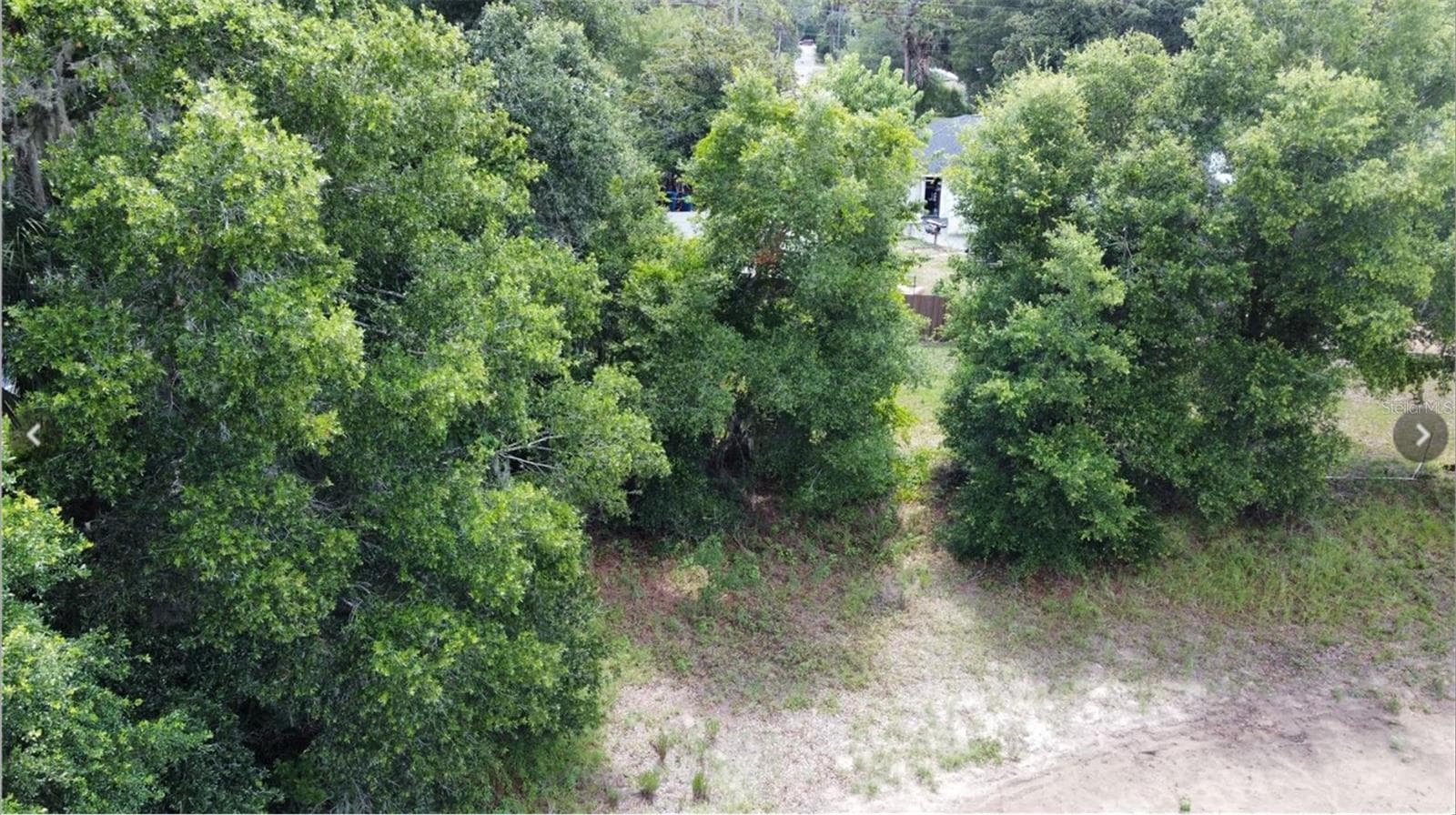 Land at 00 W HIGHWAY 40, DUNNELLON, photo 9 of 18
