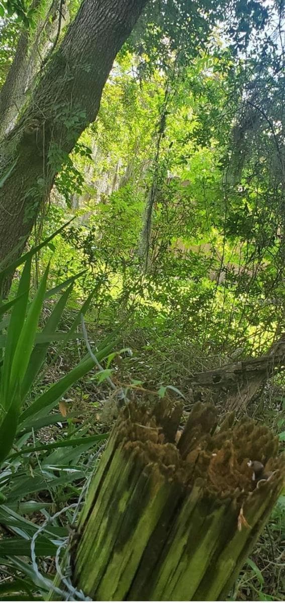 Land at 00 W HIGHWAY 40, DUNNELLON, photo 14 of 18