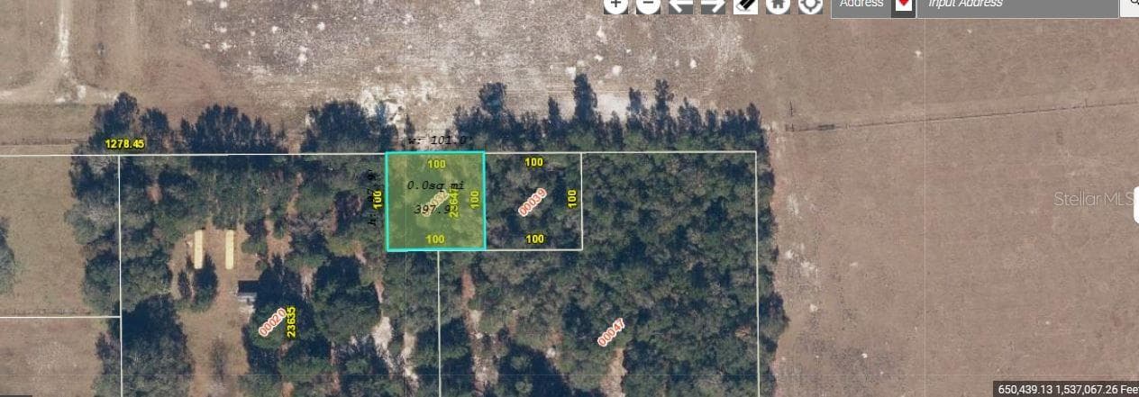 1349 N FORT CHRISTMAS RD