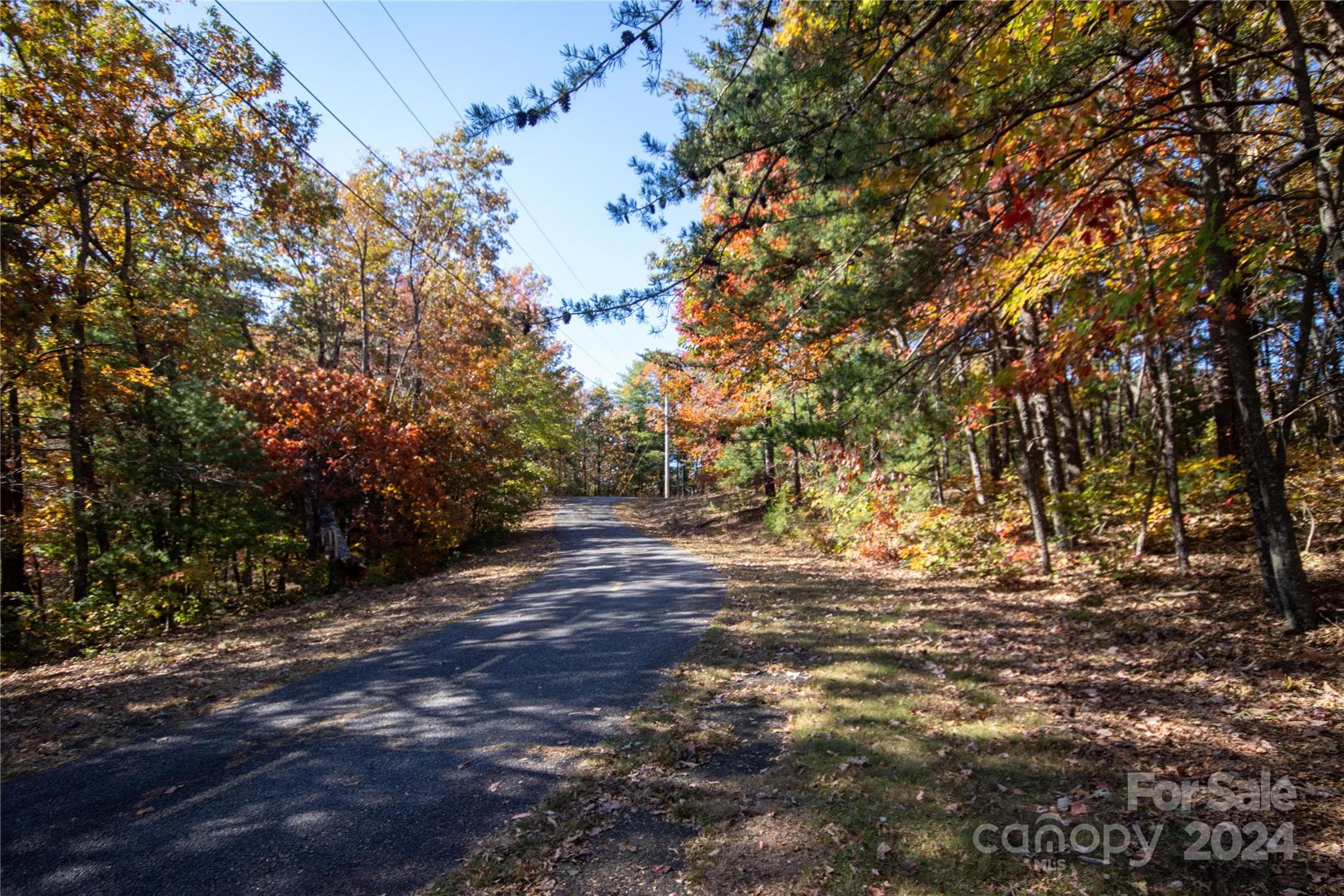 Looking Back Towards Pine Ridge Dr - 22 Hackberry Road, Connelly Springs