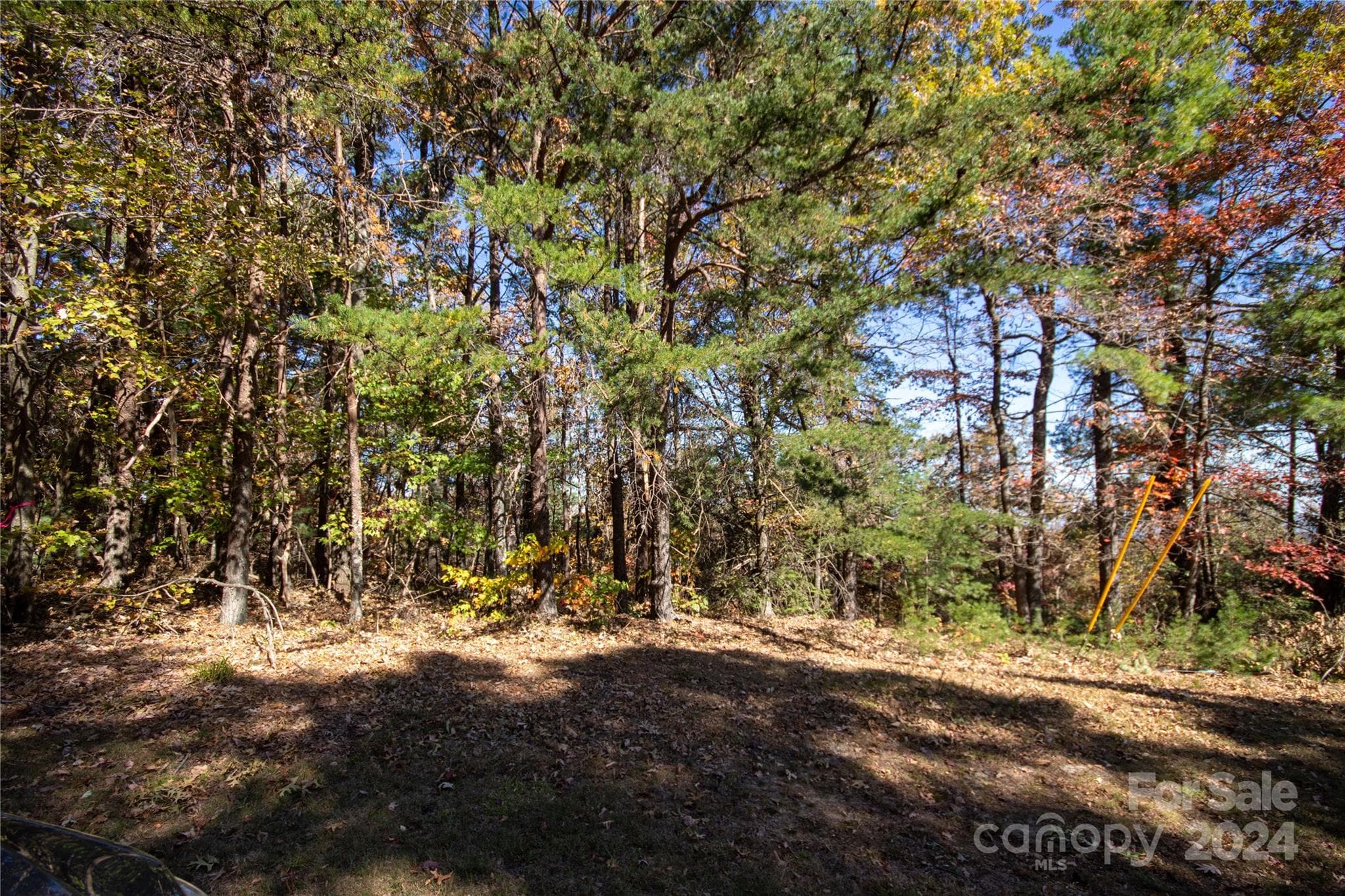 Lot at 22 Hackberry Road, Connelly Springs, photo 10 of 38