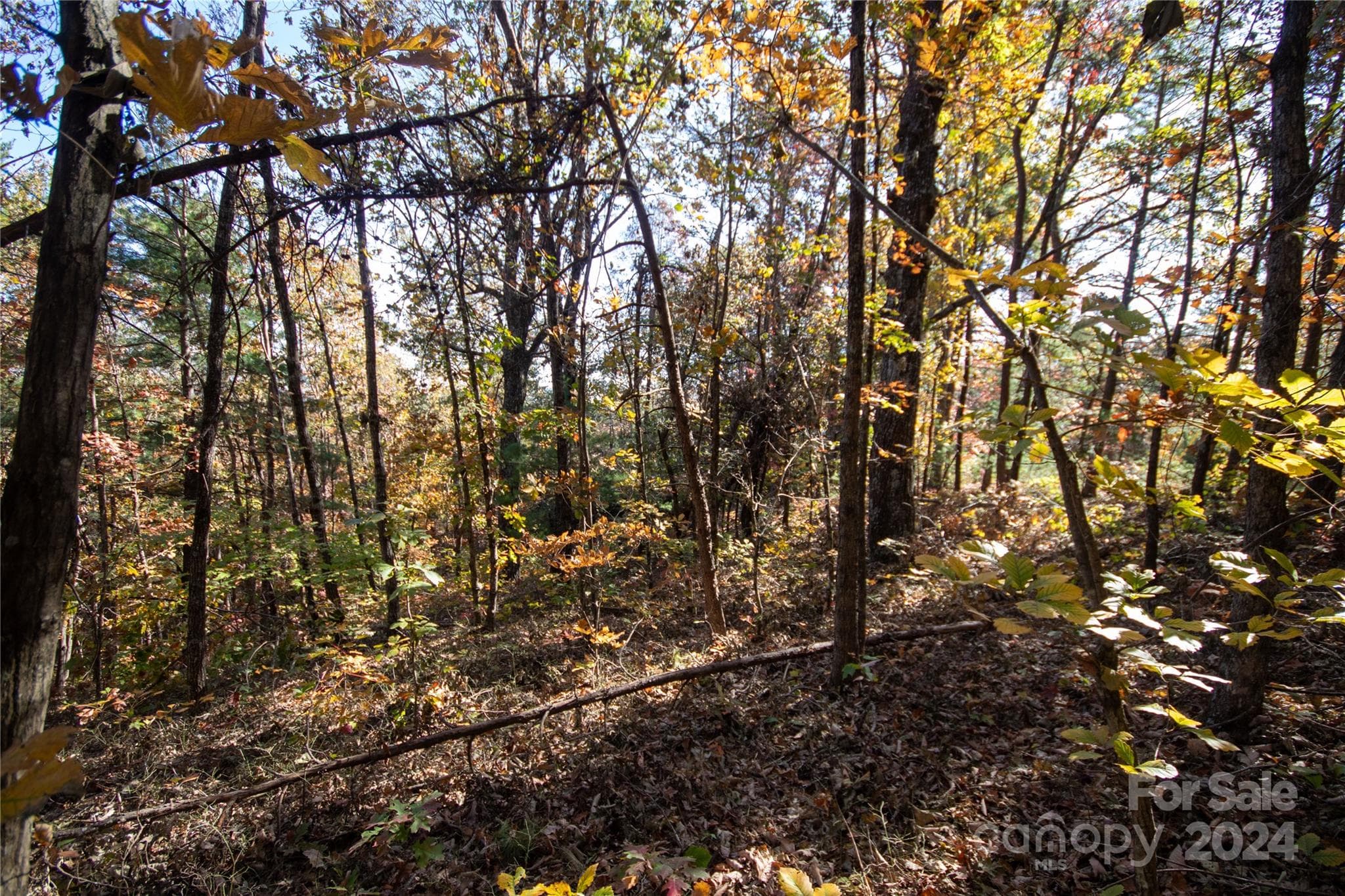 Lot at 22 Hackberry Road, Connelly Springs, photo 11 of 38
