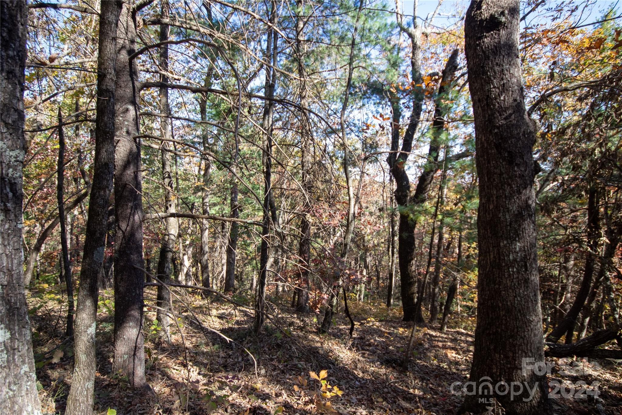Lot at 22 Hackberry Road, Connelly Springs, photo 13 of 38