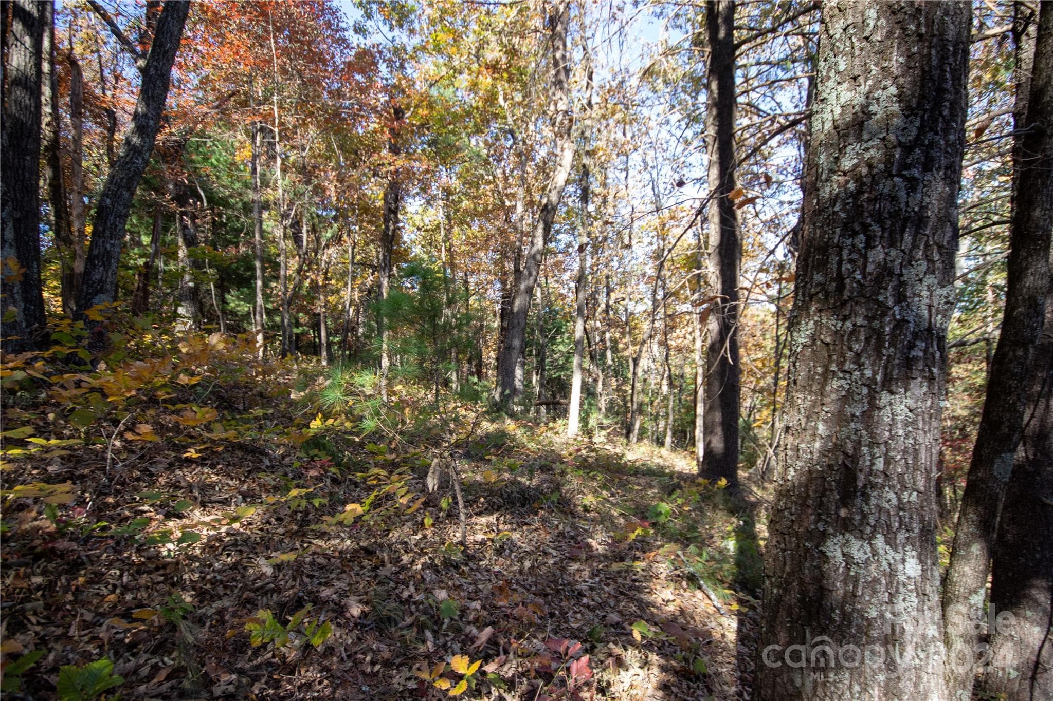 Lot at 22 Hackberry Road, Connelly Springs, photo 16 of 38