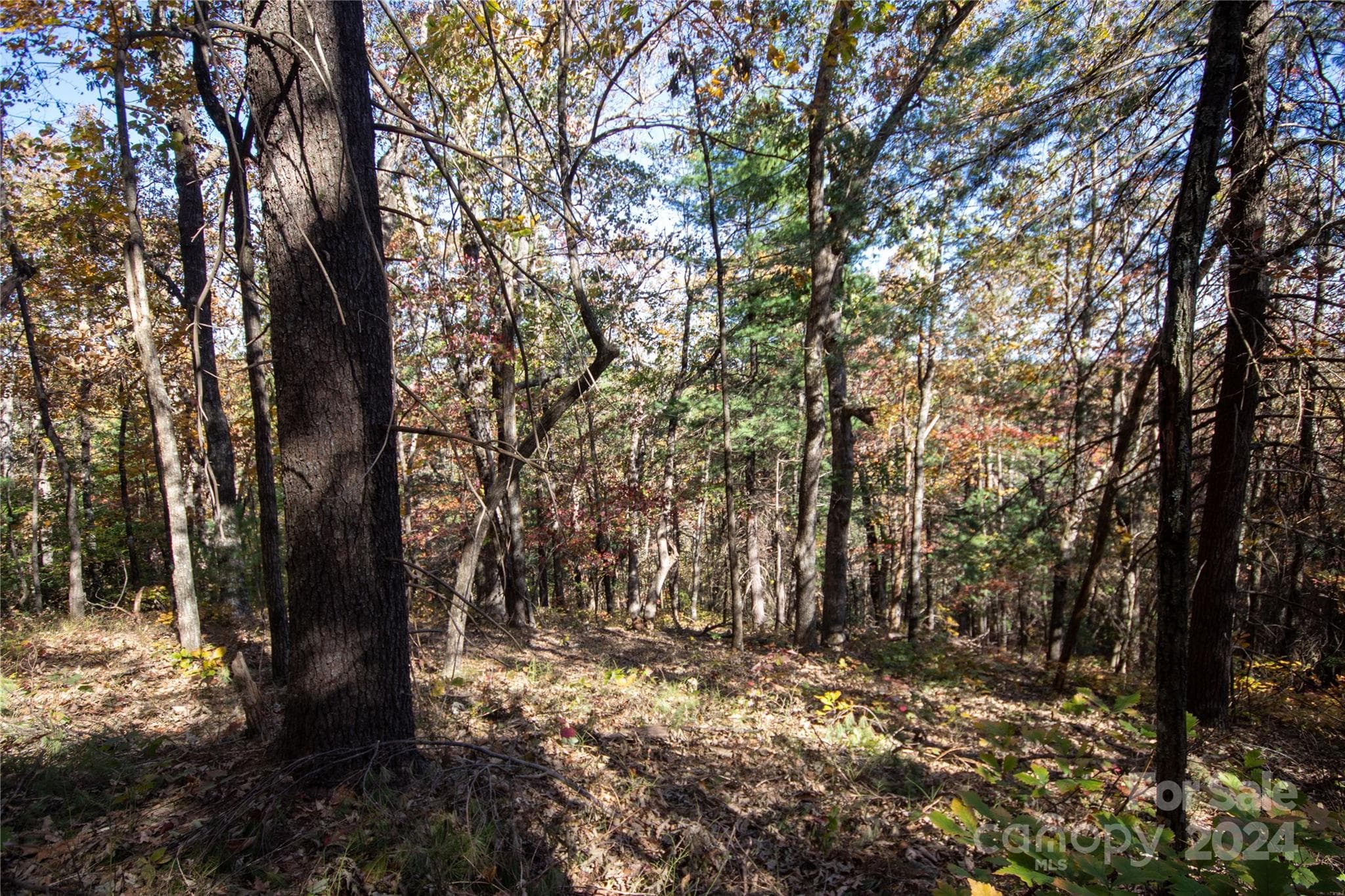 Lot at 22 Hackberry Road, Connelly Springs, photo 17 of 38