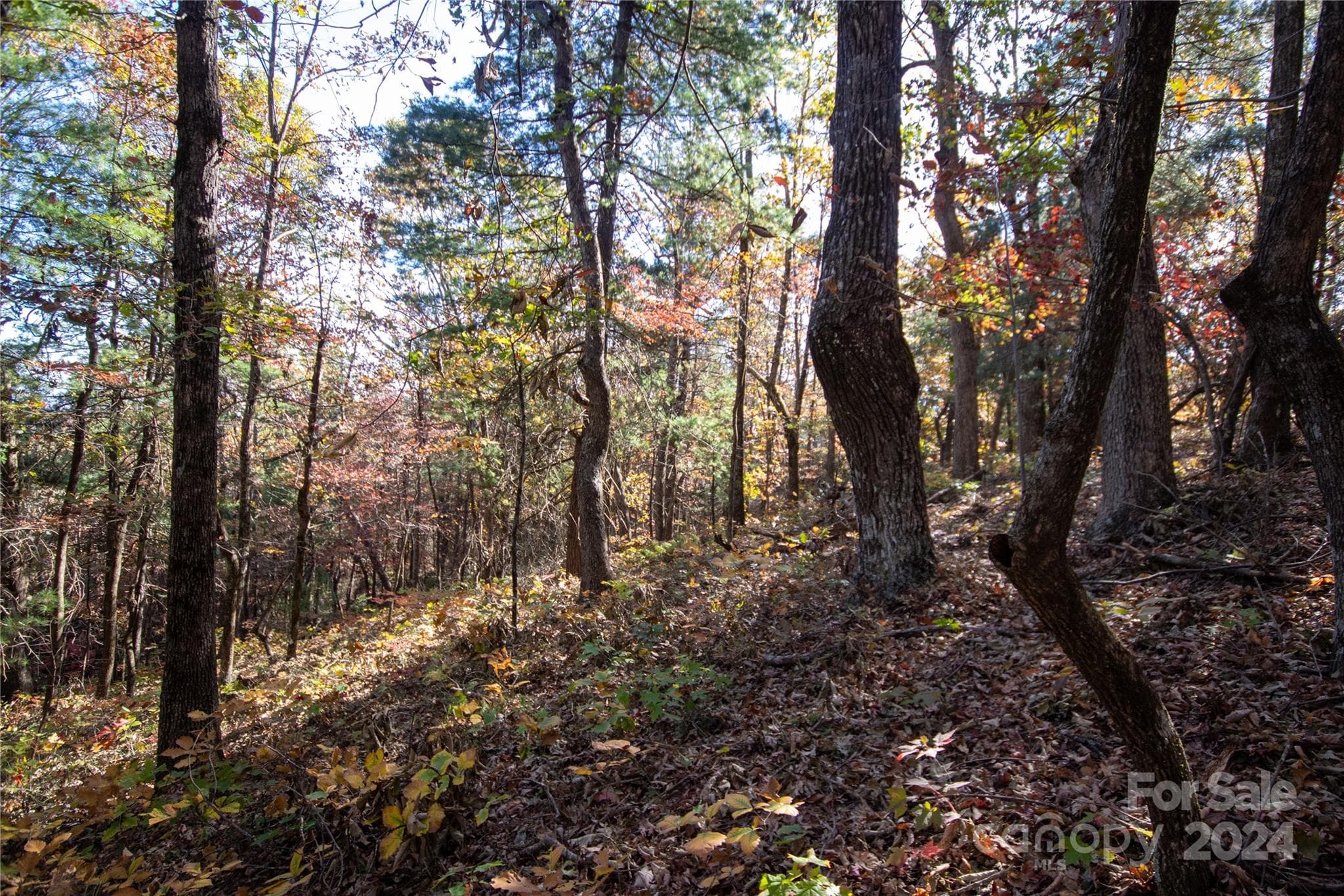 Lot at 22 Hackberry Road, Connelly Springs, photo 20 of 38