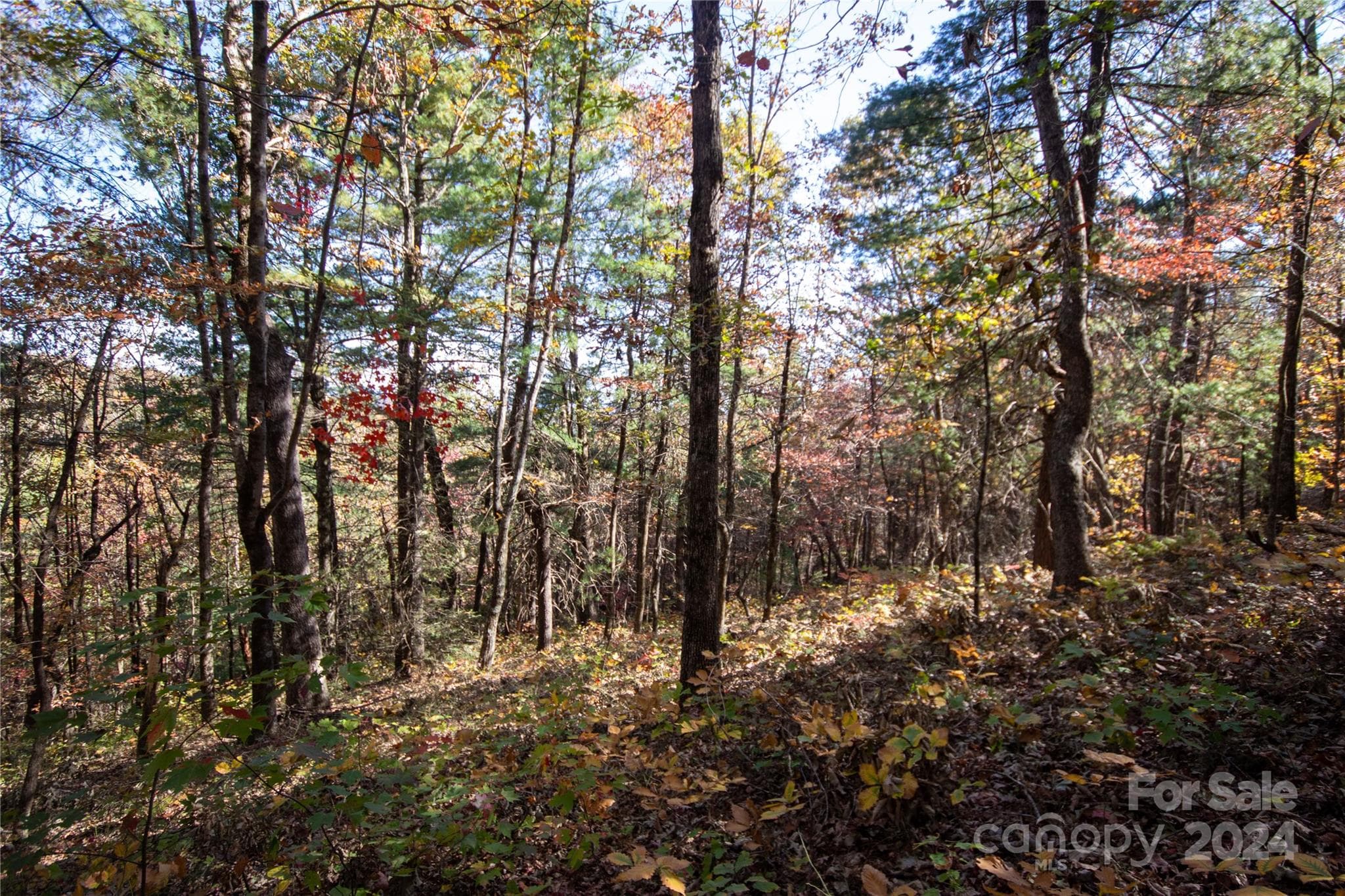Lot at 22 Hackberry Road, Connelly Springs, photo 21 of 38
