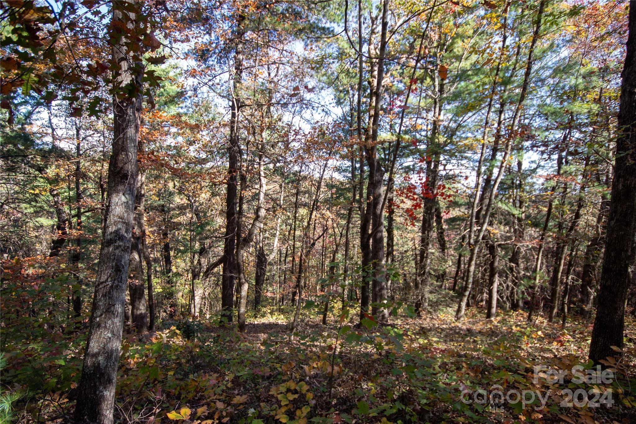 Lot at 22 Hackberry Road, Connelly Springs, photo 22 of 38