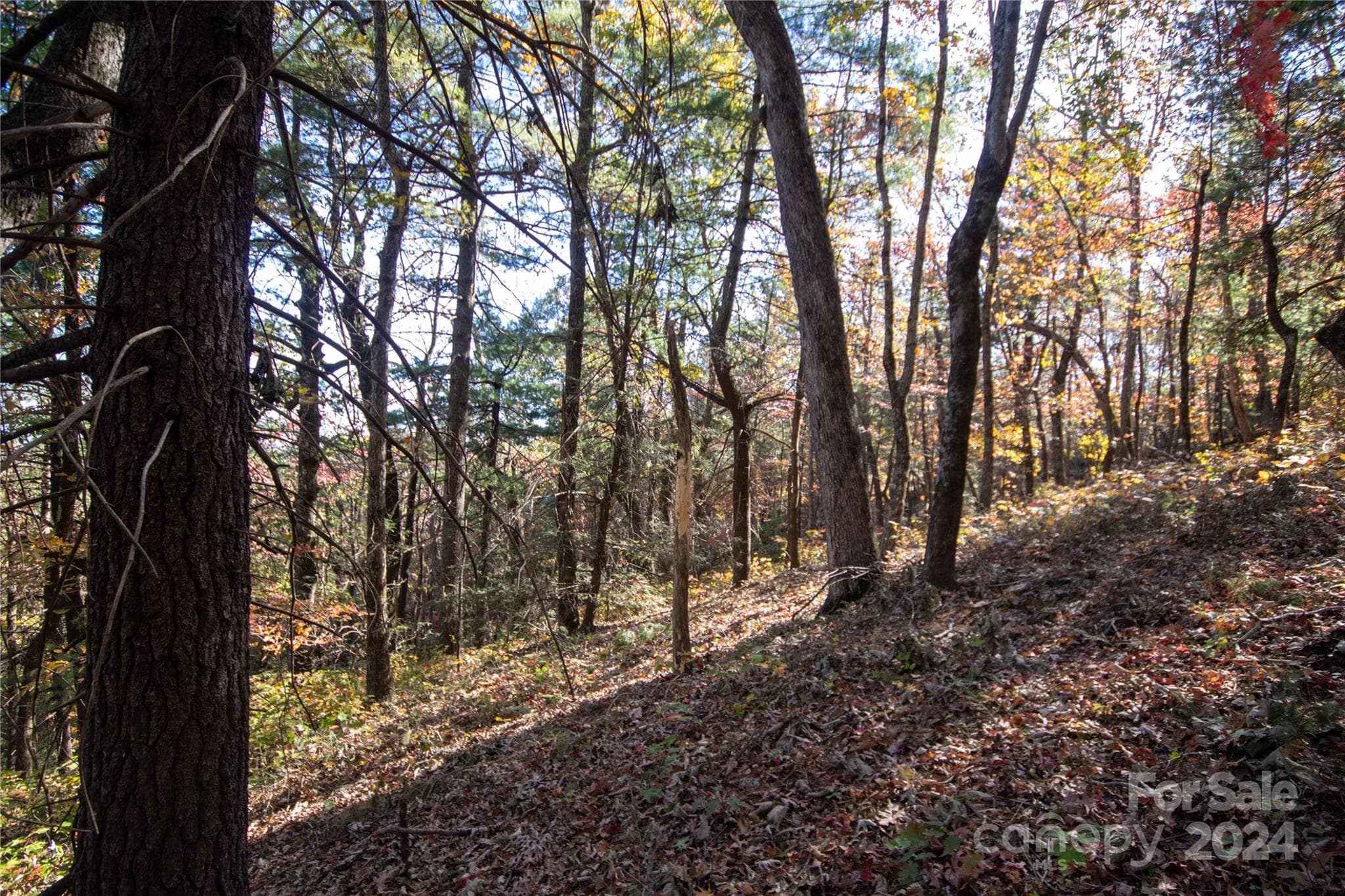 Lot at 22 Hackberry Road, Connelly Springs, photo 23 of 38