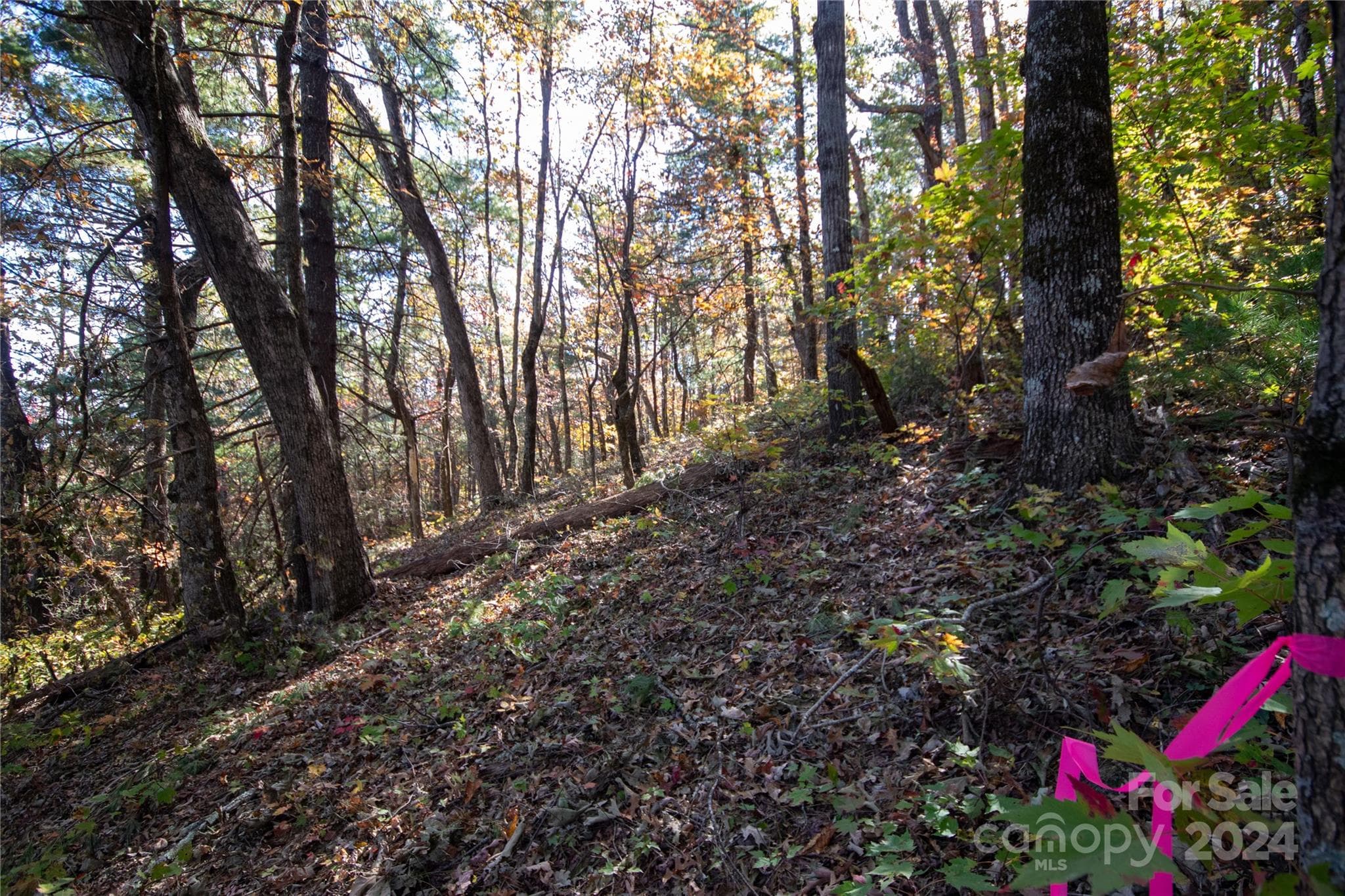 Approx Corners Marked - 22 Hackberry Road, Connelly Springs