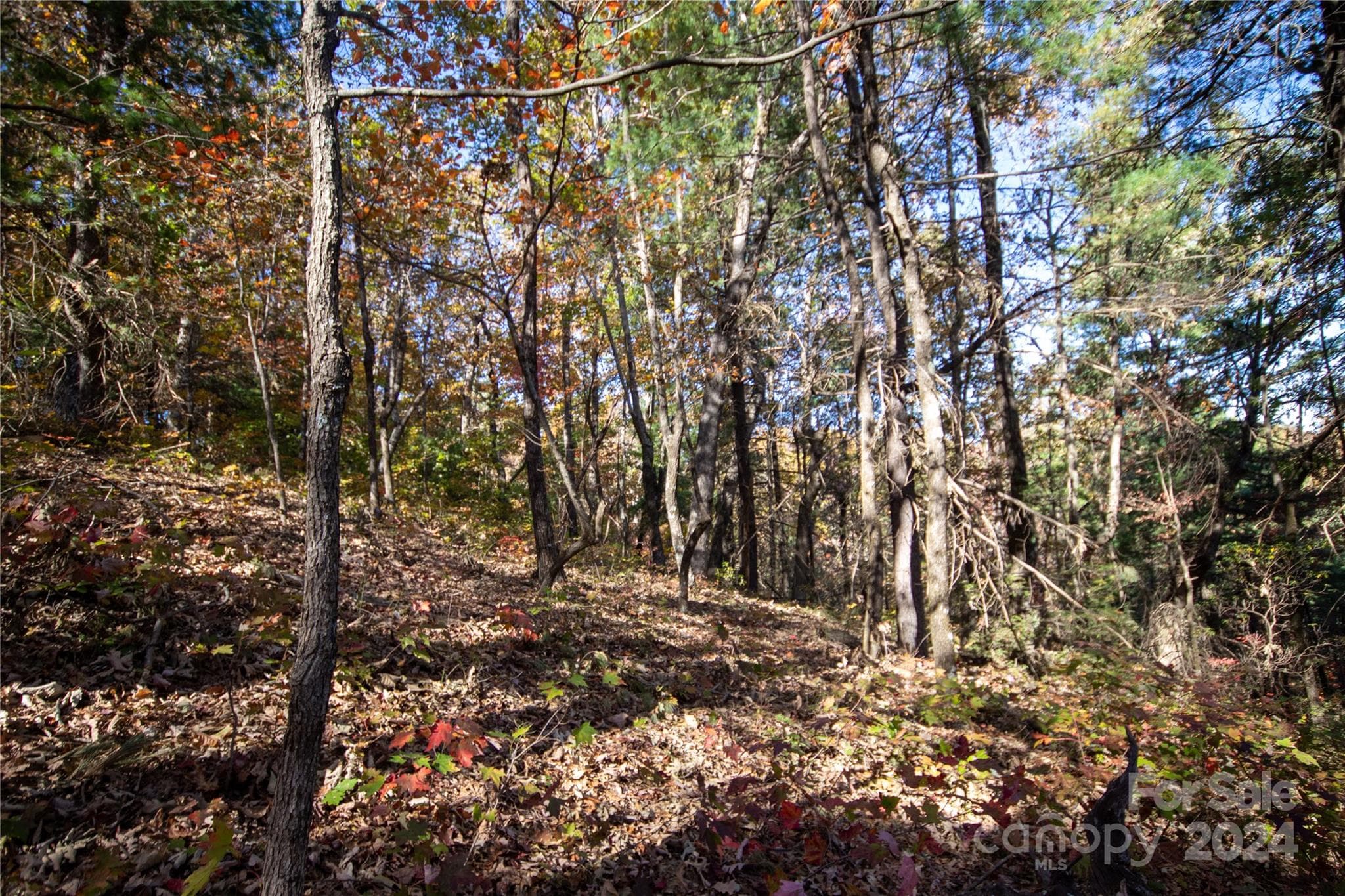 Lot at 22 Hackberry Road, Connelly Springs, photo 26 of 38