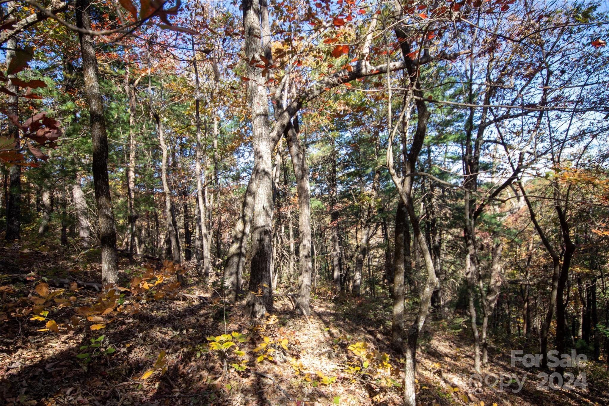 Lot at 22 Hackberry Road, Connelly Springs, photo 28 of 38