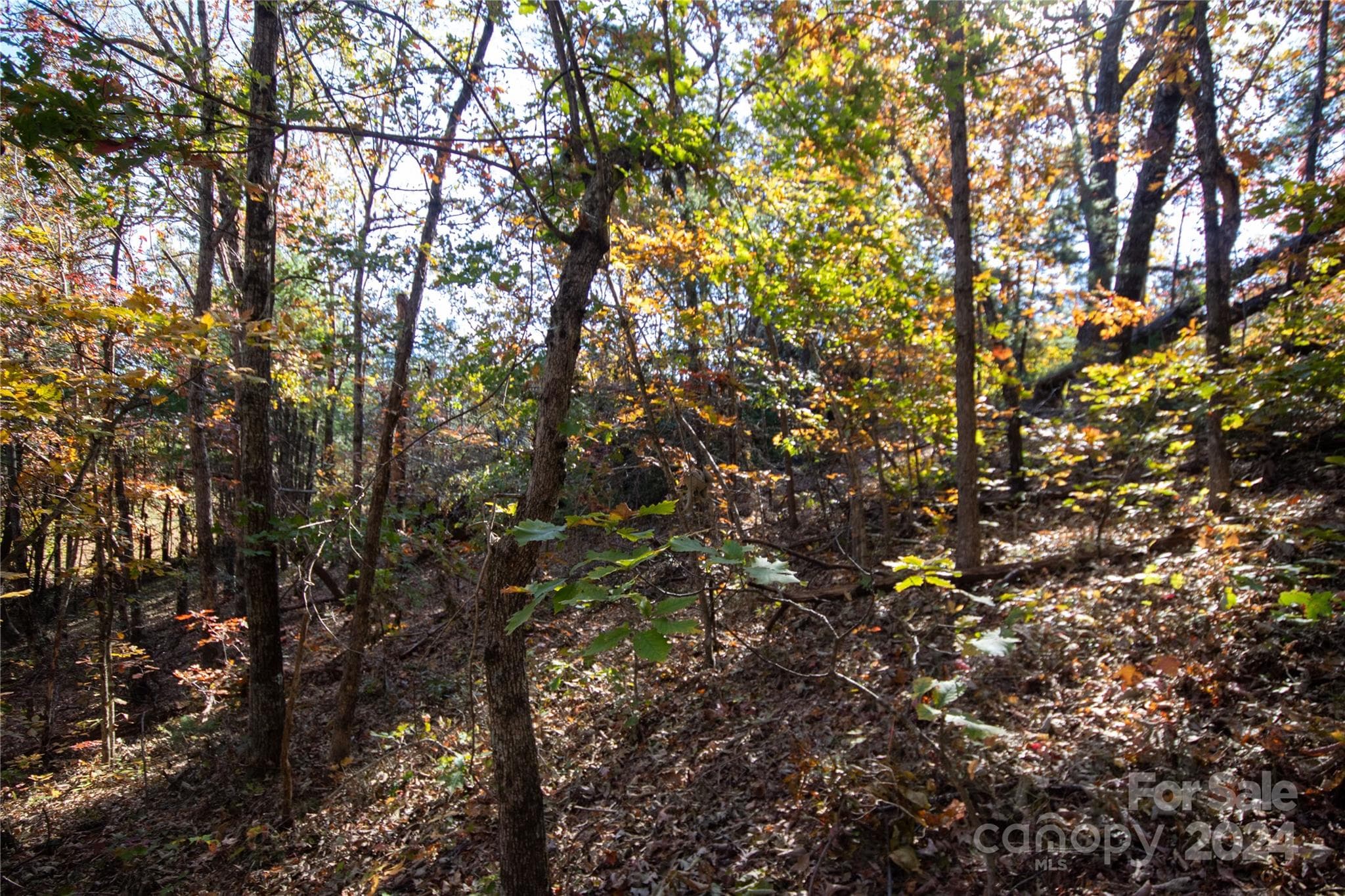 Lot at 22 Hackberry Road, Connelly Springs, photo 29 of 38