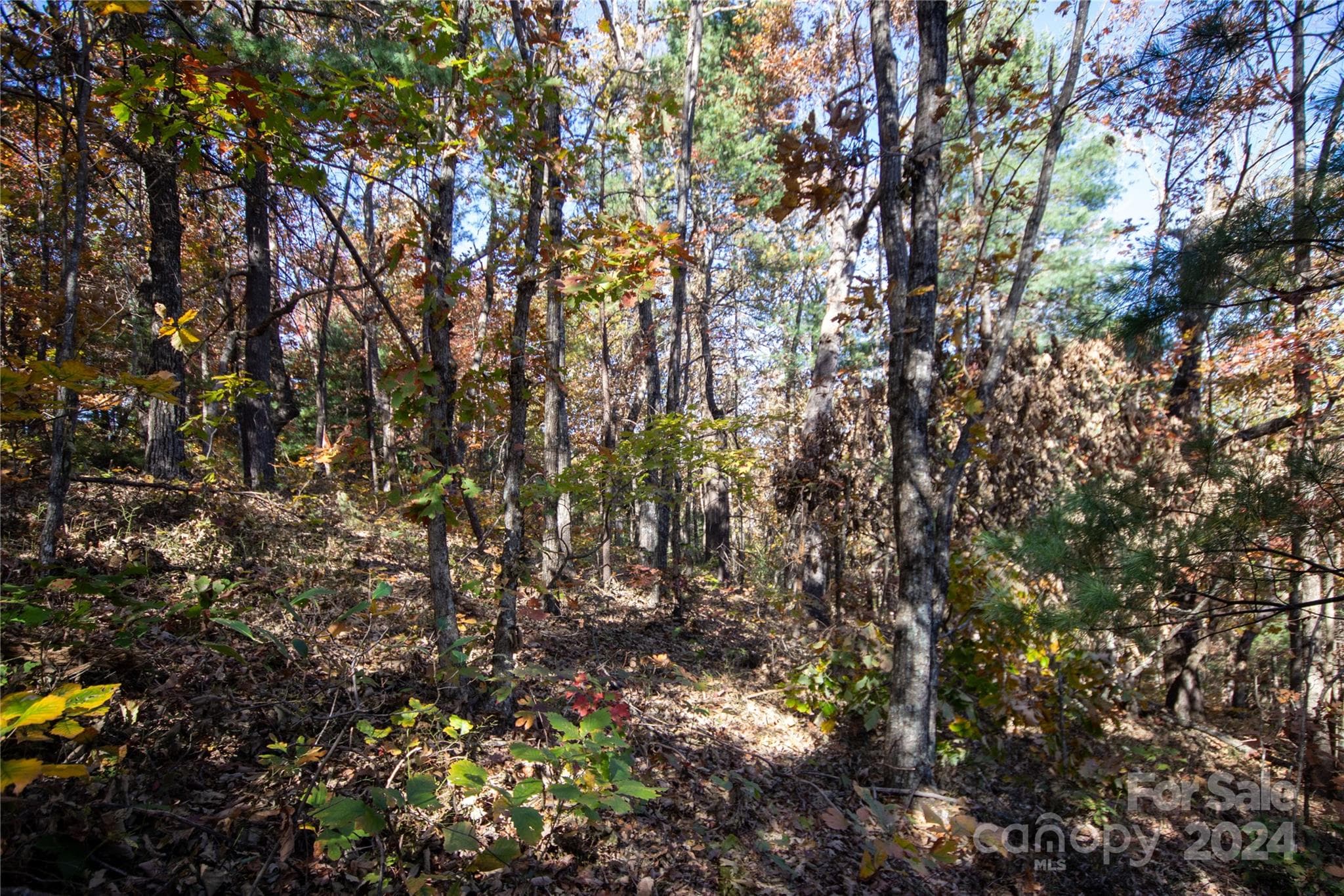 Lot at 22 Hackberry Road, Connelly Springs, photo 31 of 38