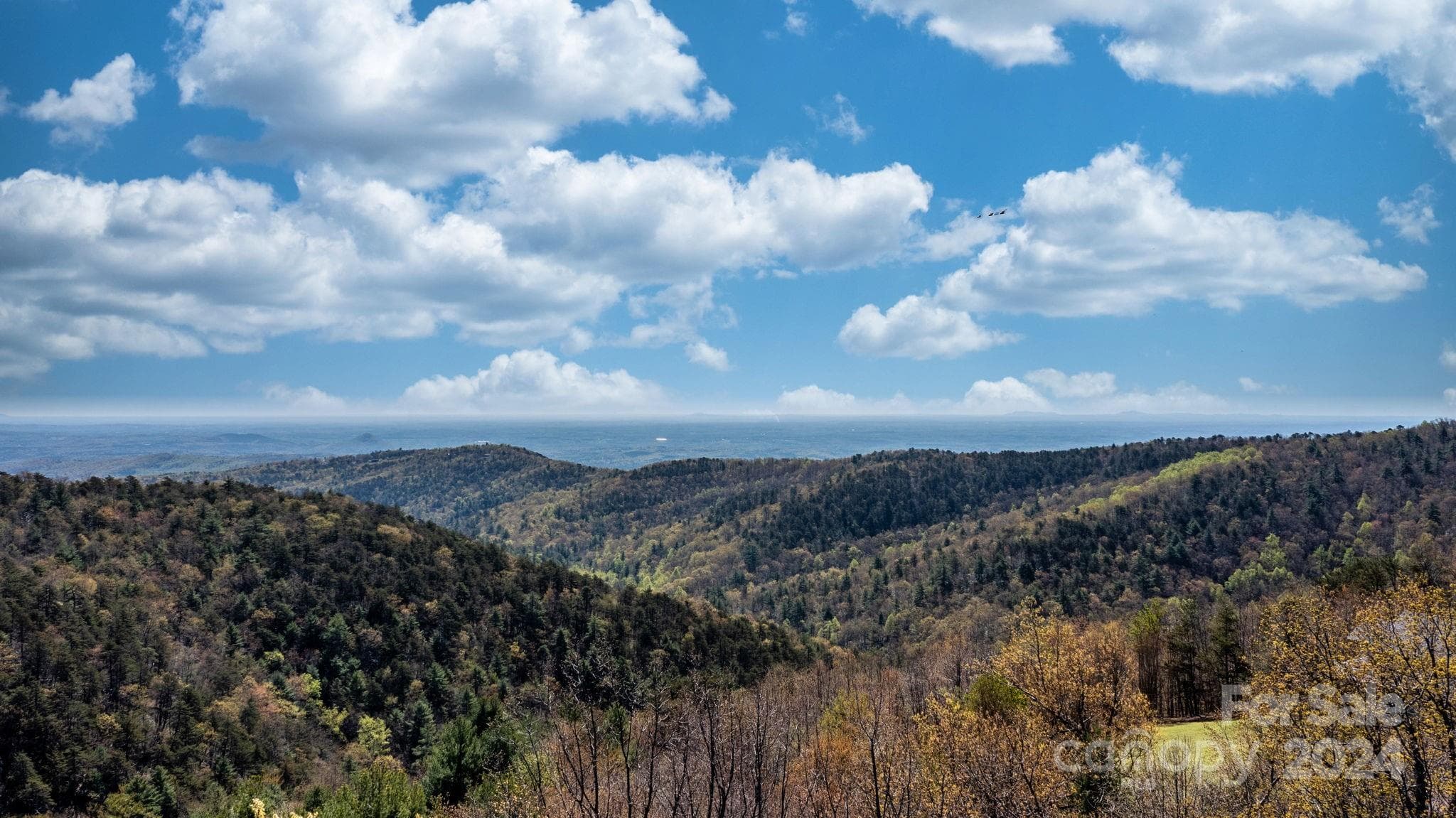 View Once Cleared - 22 Hackberry Road, Connelly Springs
