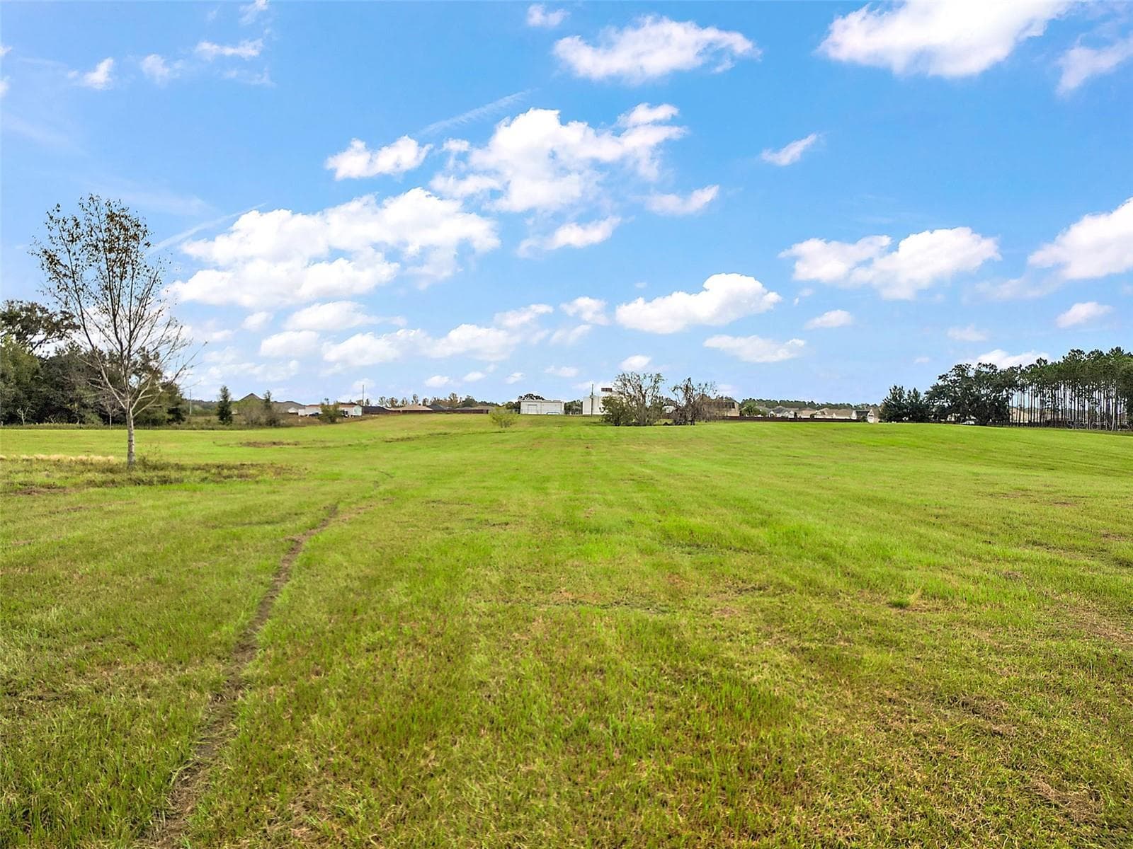 Land at SUMTER COUNTY ROAD 214, OXFORD, photo 13 of 13