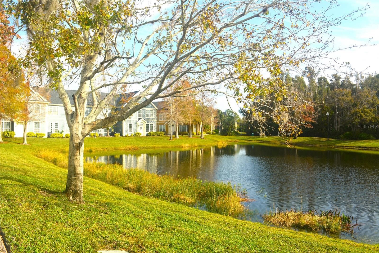 Landscape - 5701 SOLDIER CIR #104, SARASOTA