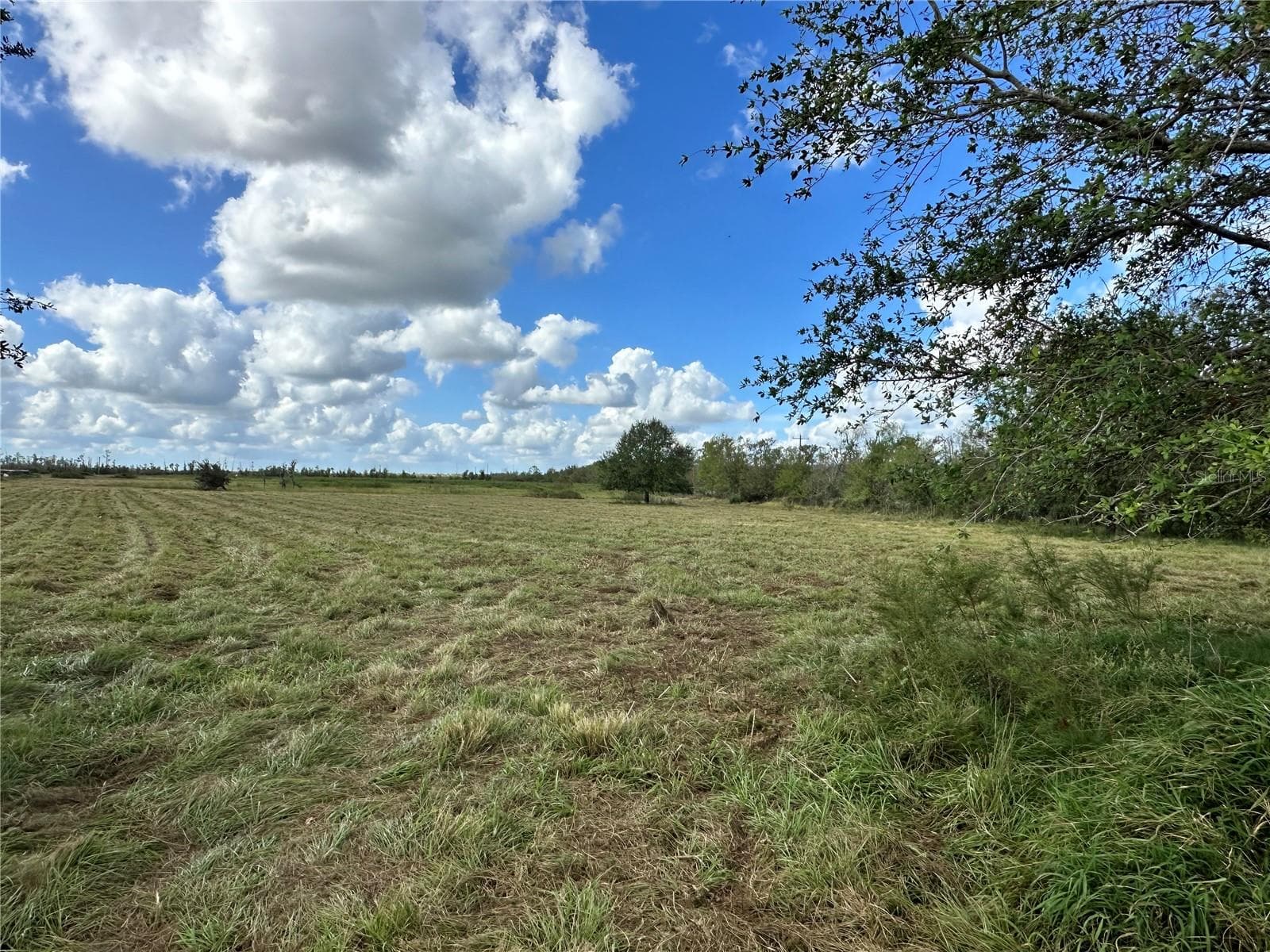 Land at WAUCHULA RD, MYAKKA CITY, photo 3 of 8