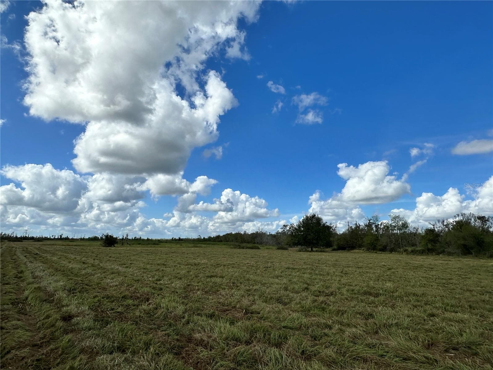 Land at WAUCHULA RD, MYAKKA CITY, photo 4 of 8