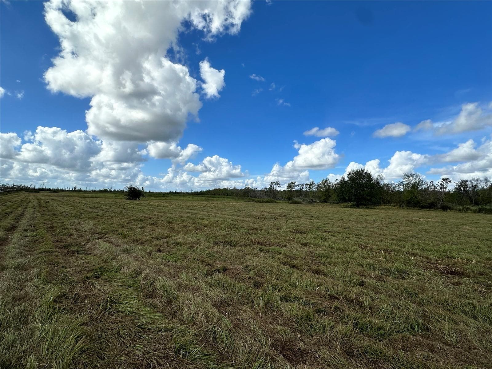 Land at WAUCHULA RD, MYAKKA CITY, photo 6 of 8