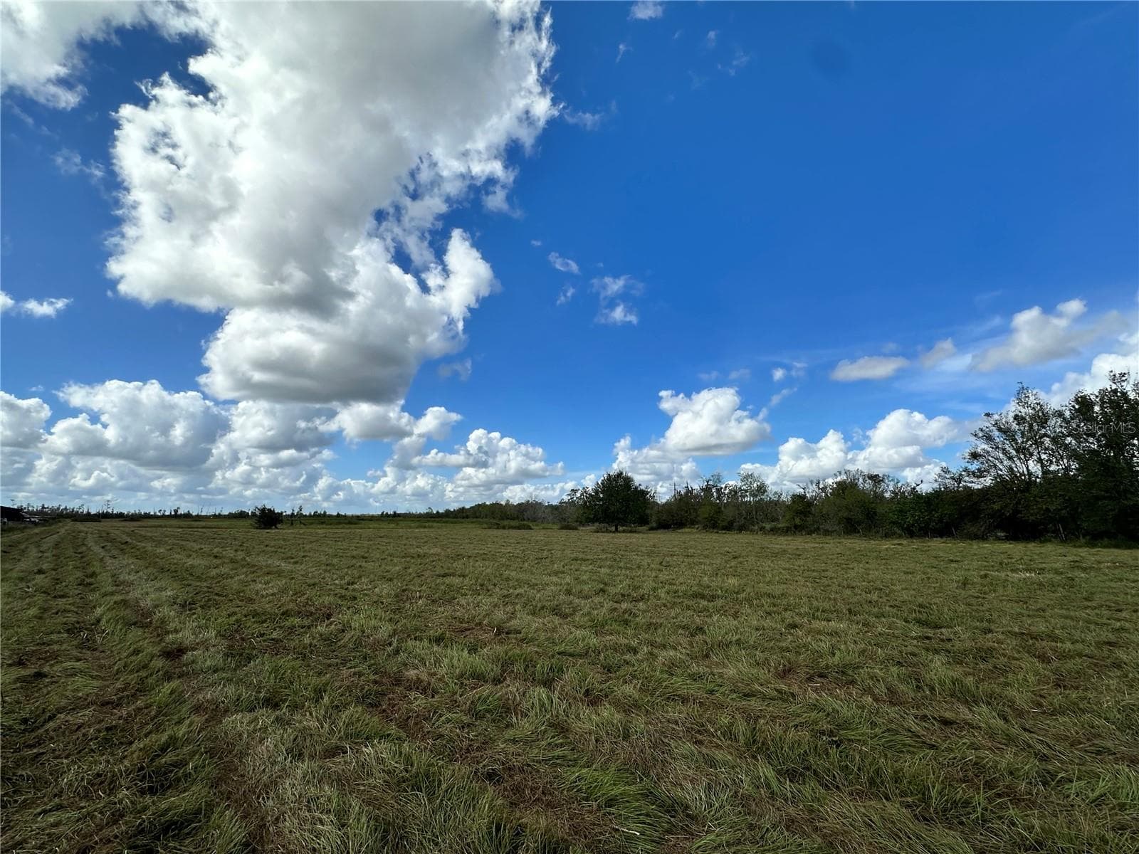 Land at WAUCHULA RD, MYAKKA CITY, photo 7 of 8