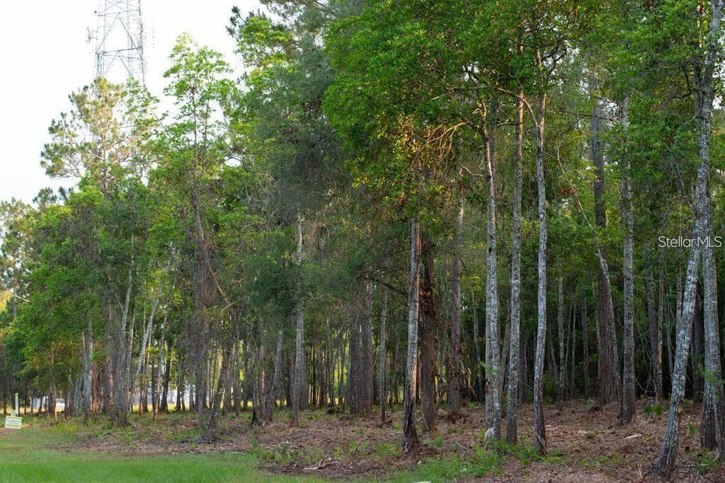 Land at 53XX US HWY 1 N, BUNNELL, photo 2 of 11