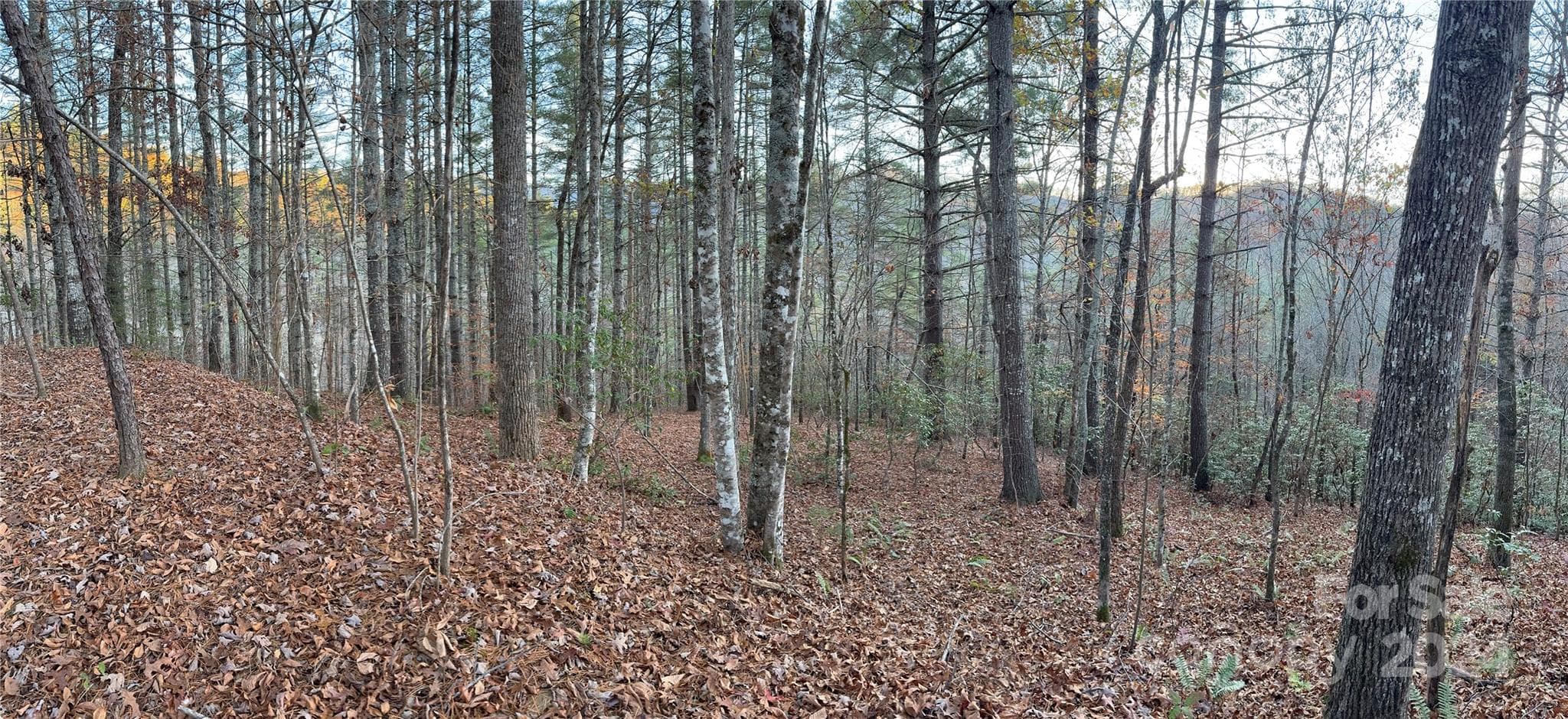 Lot at 0 Sky Ridge Drive, Bryson City, photo 14 of 15