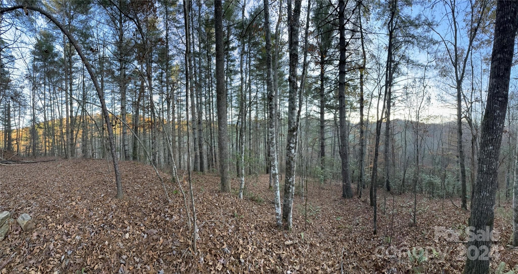 Lot at 0 Sky Ridge Drive, Bryson City, photo 15 of 15