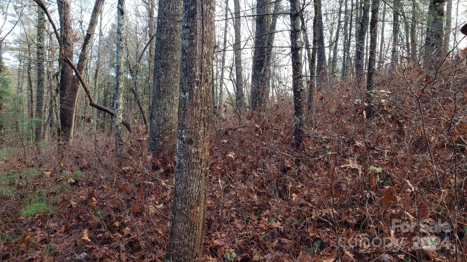 Acreage at TBD Cedar Lane, Brevard, photo 6 of 11