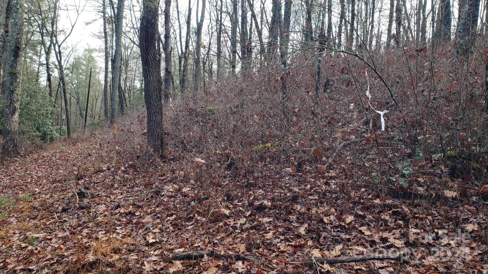 Acreage at TBD Cedar Lane, Brevard, photo 7 of 11