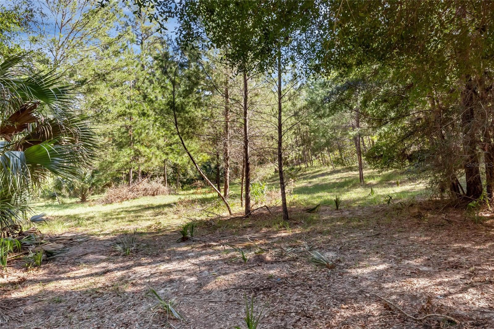 Land at BRONSON RD, SORRENTO, photo 15 of 29